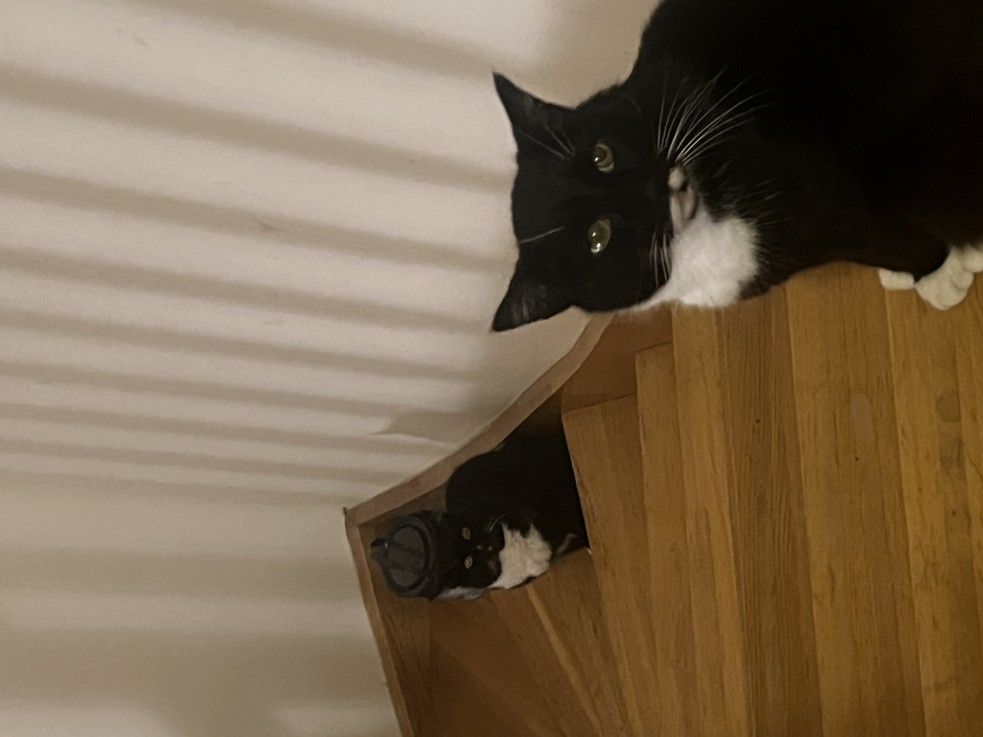 image-5