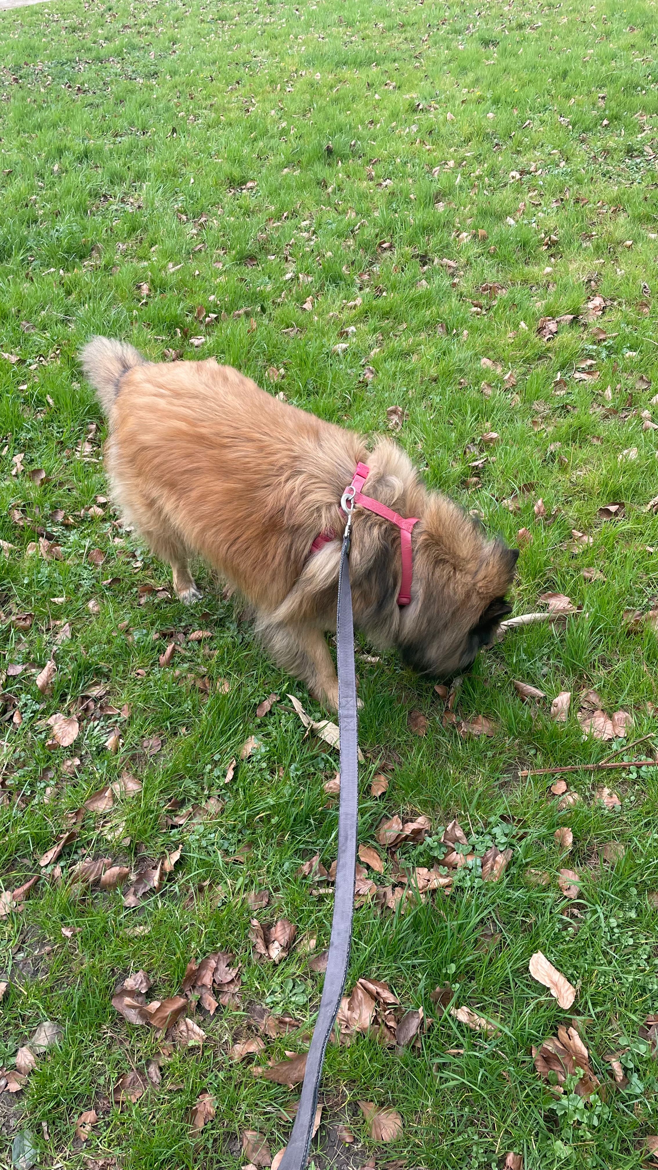 image-9