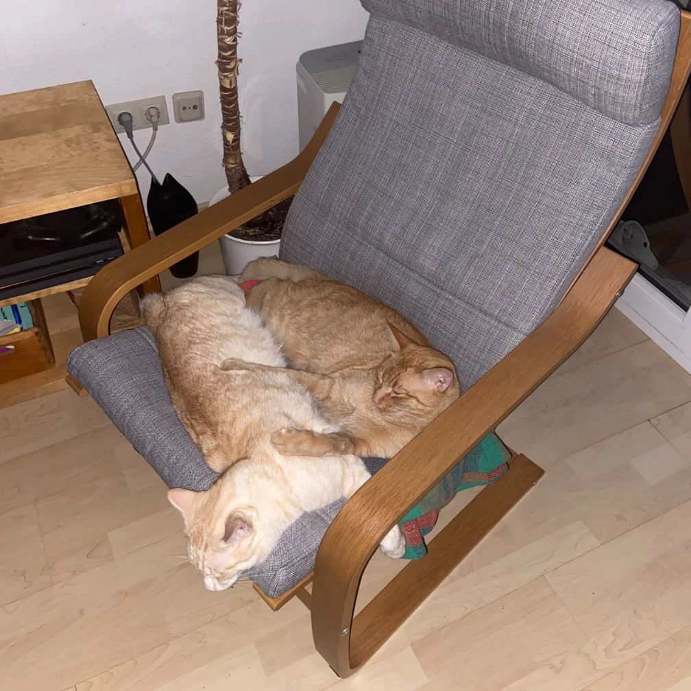 Teddy & Timmy