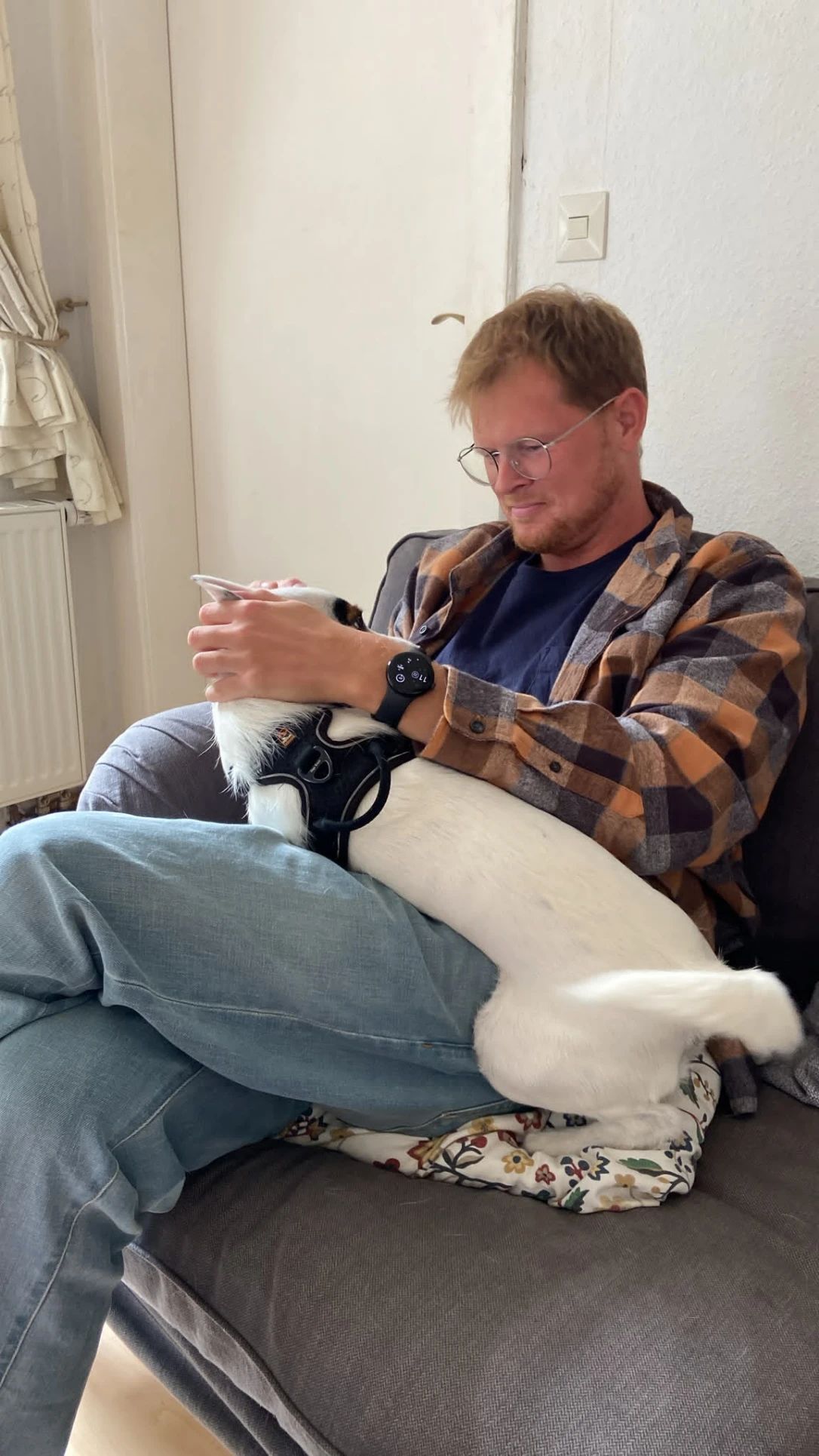image-8