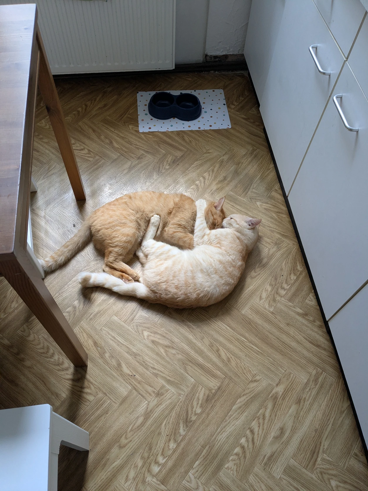 image-16