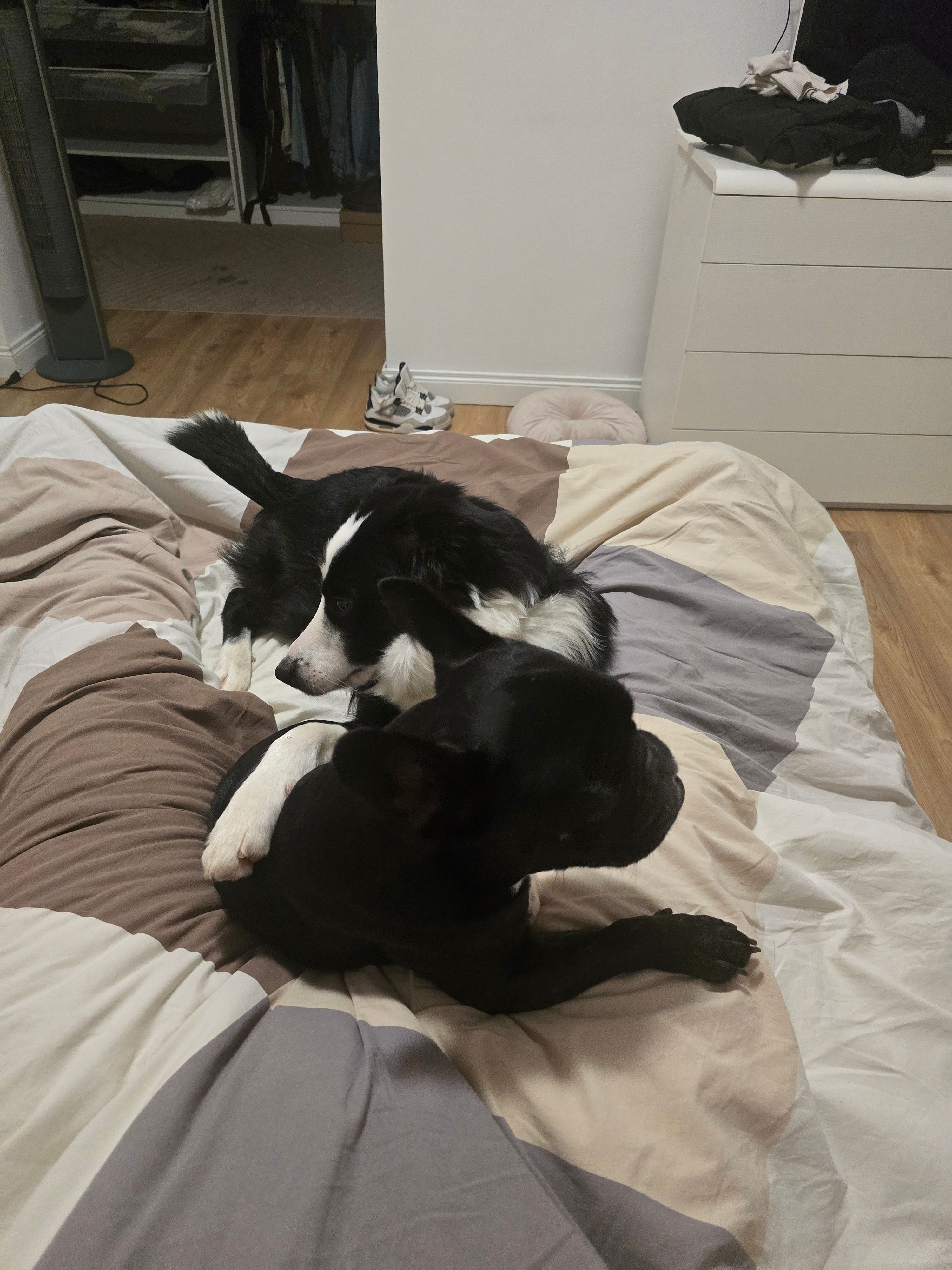 image-6