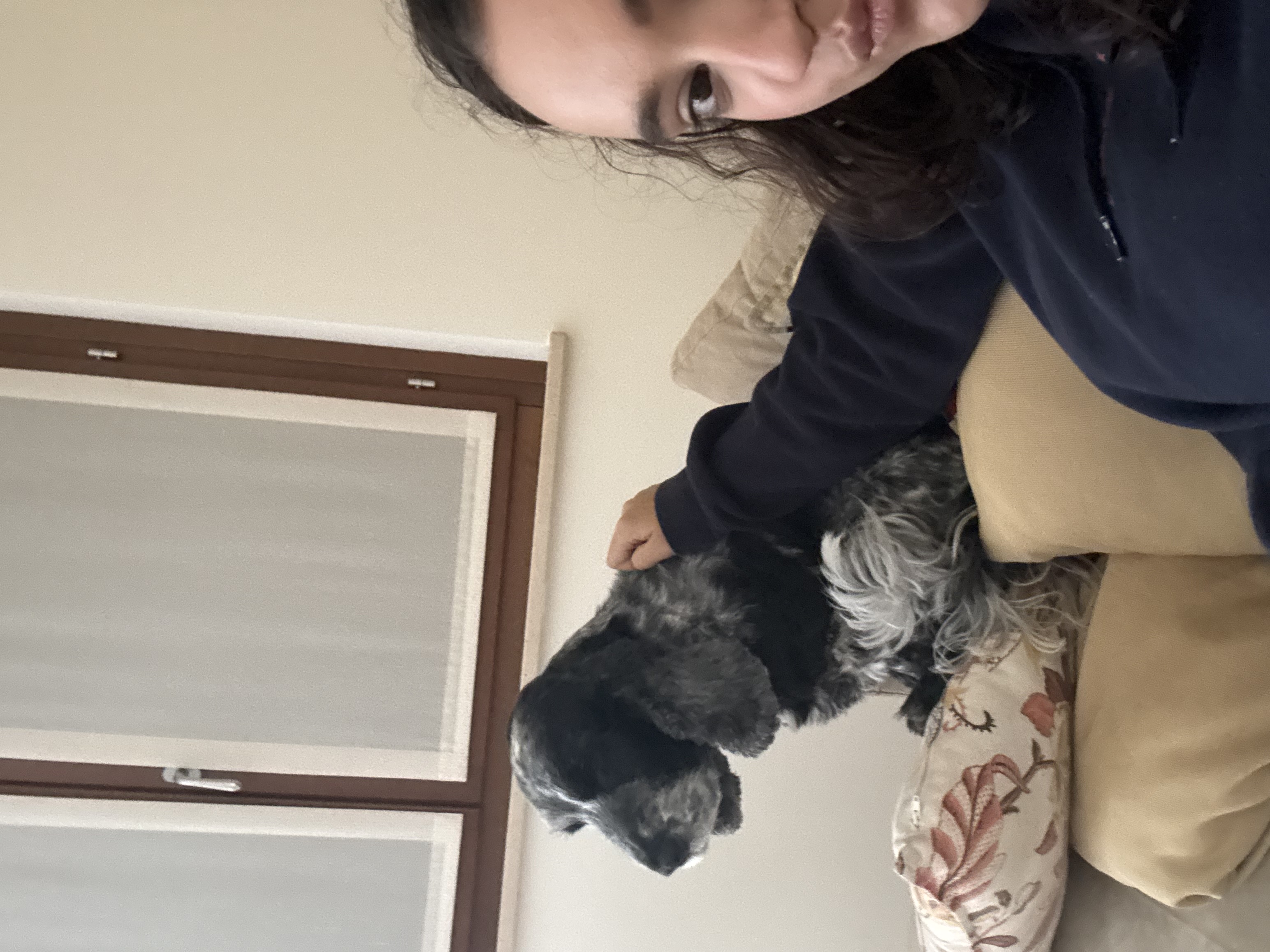 image-3