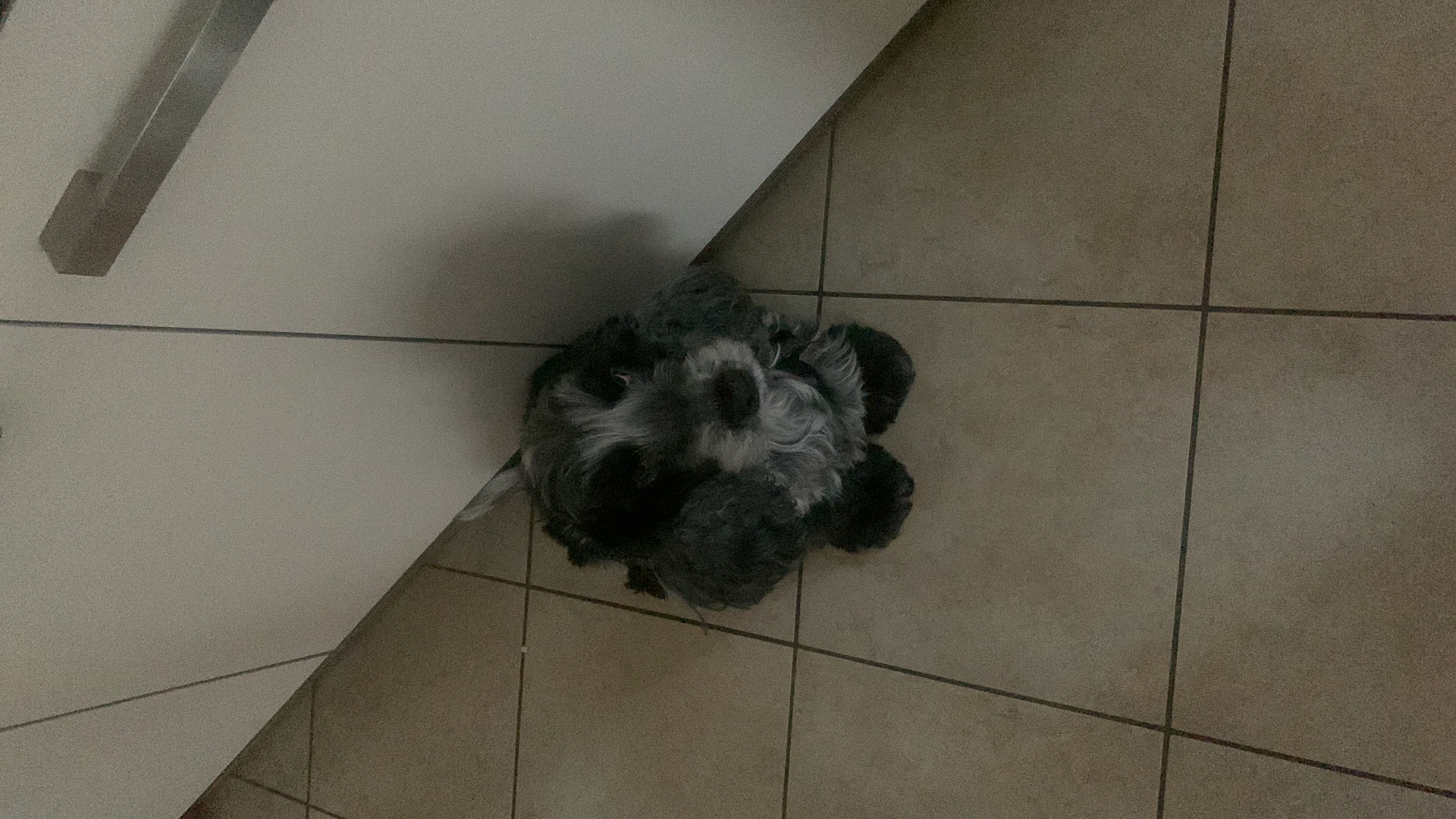 image-8
