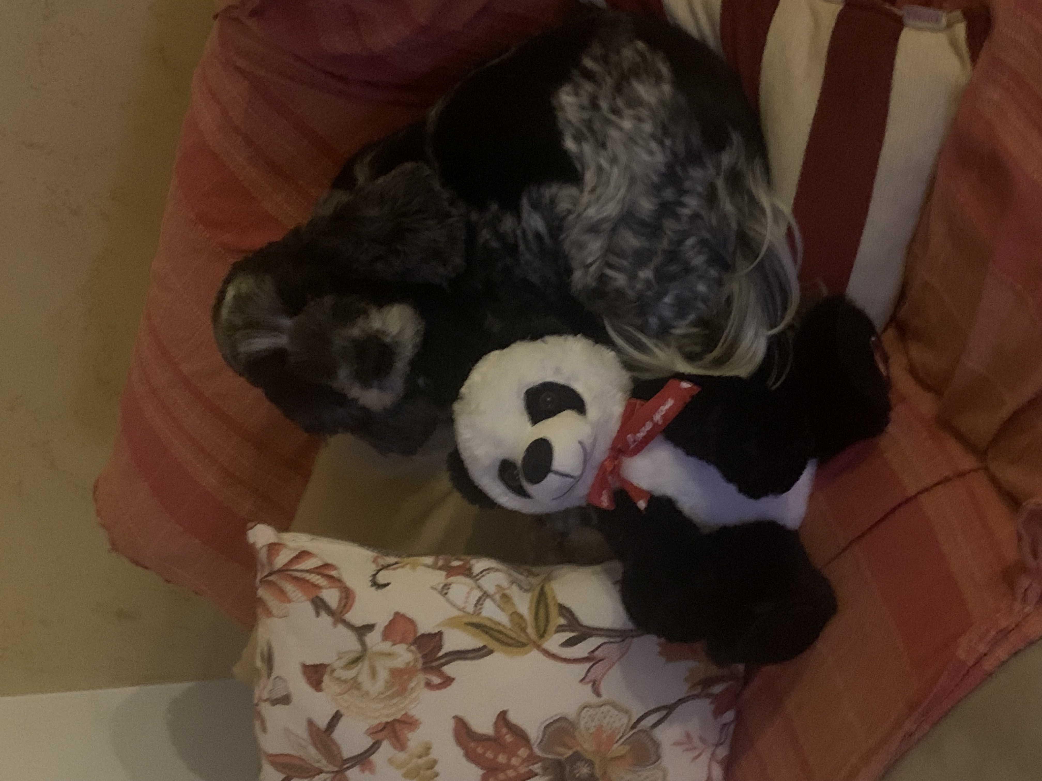 image-9
