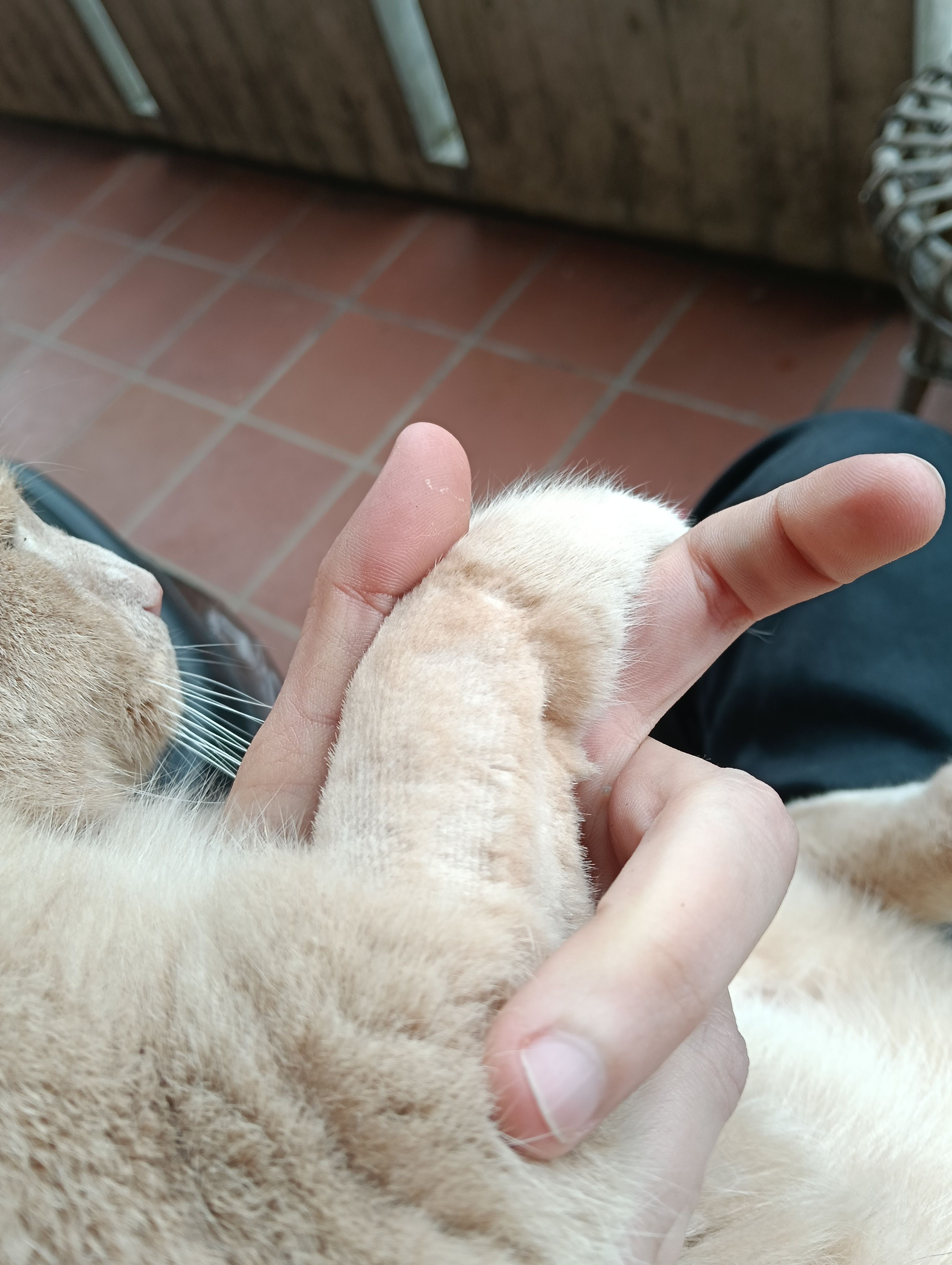 image-8