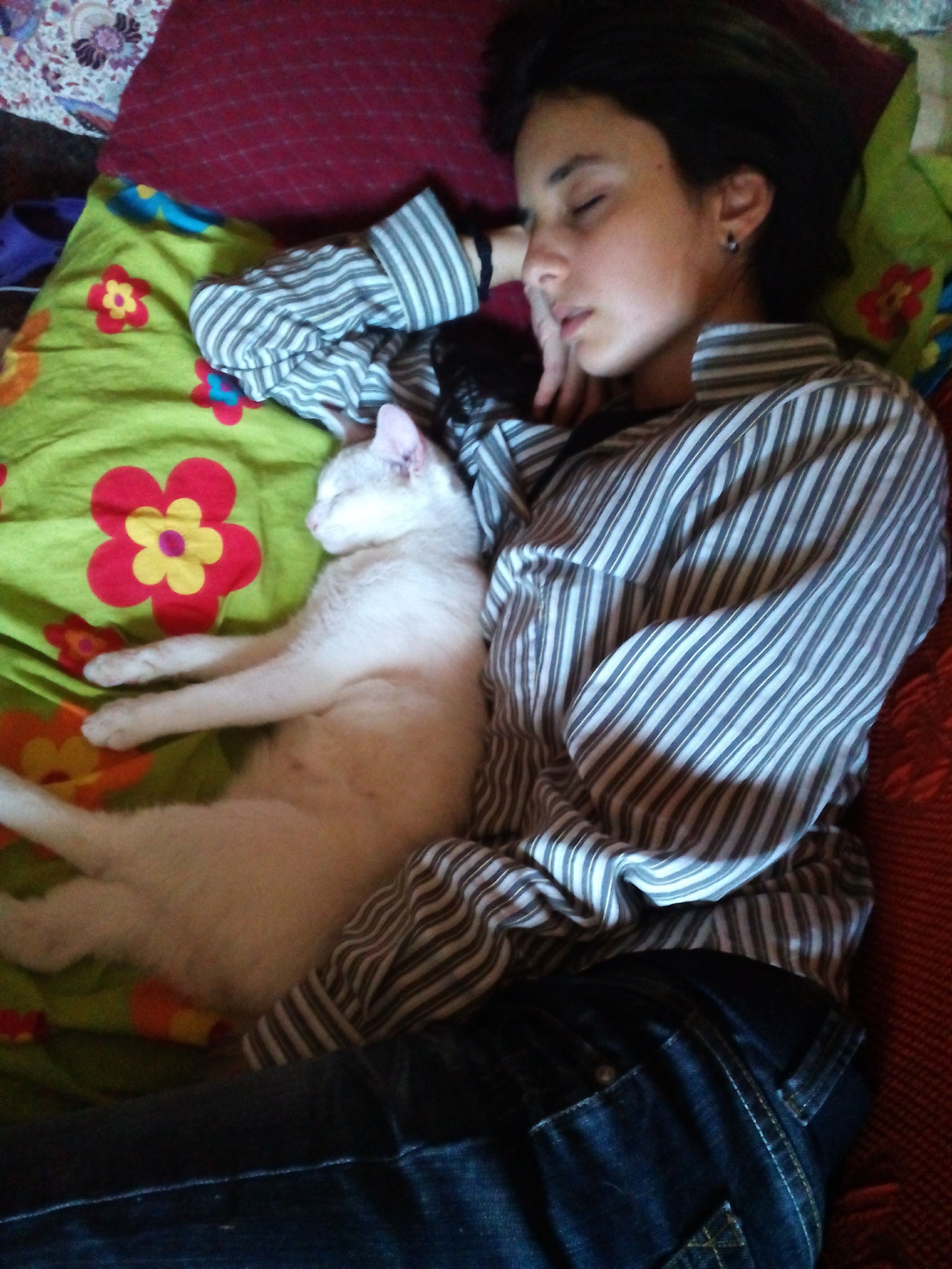 image-7