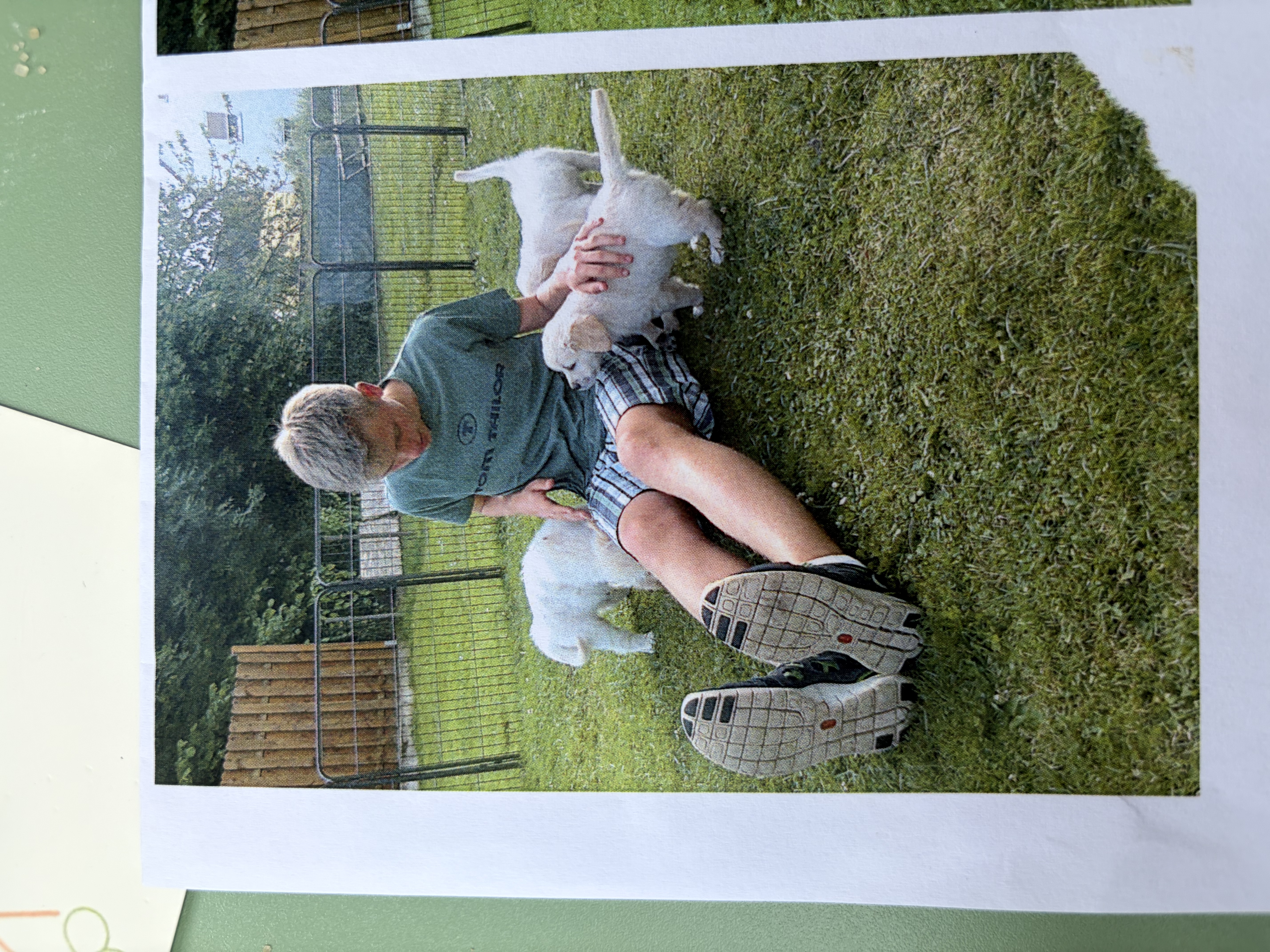 image-7