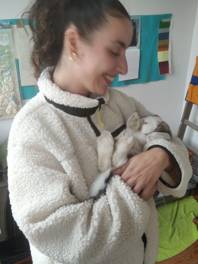 image-4