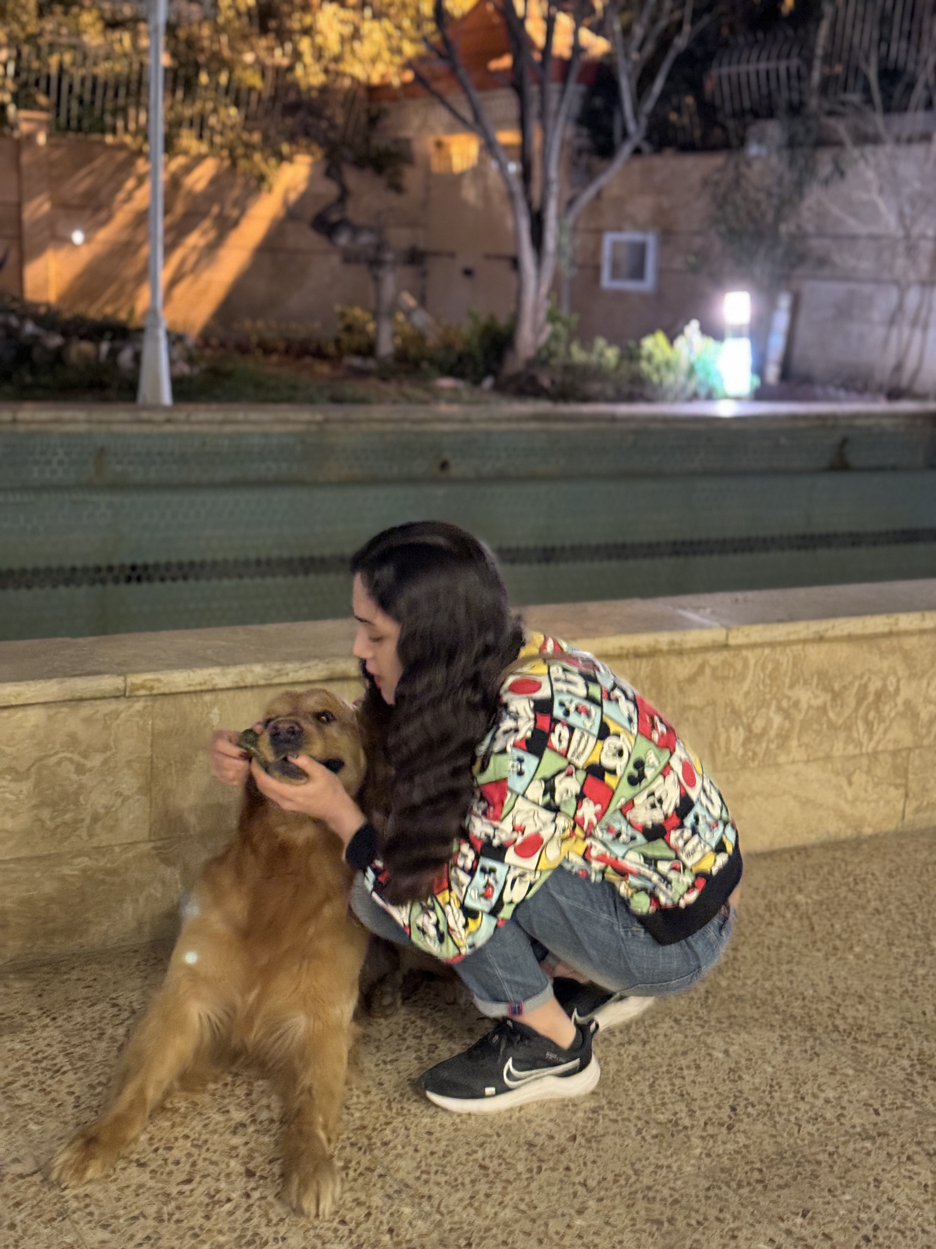 image-4