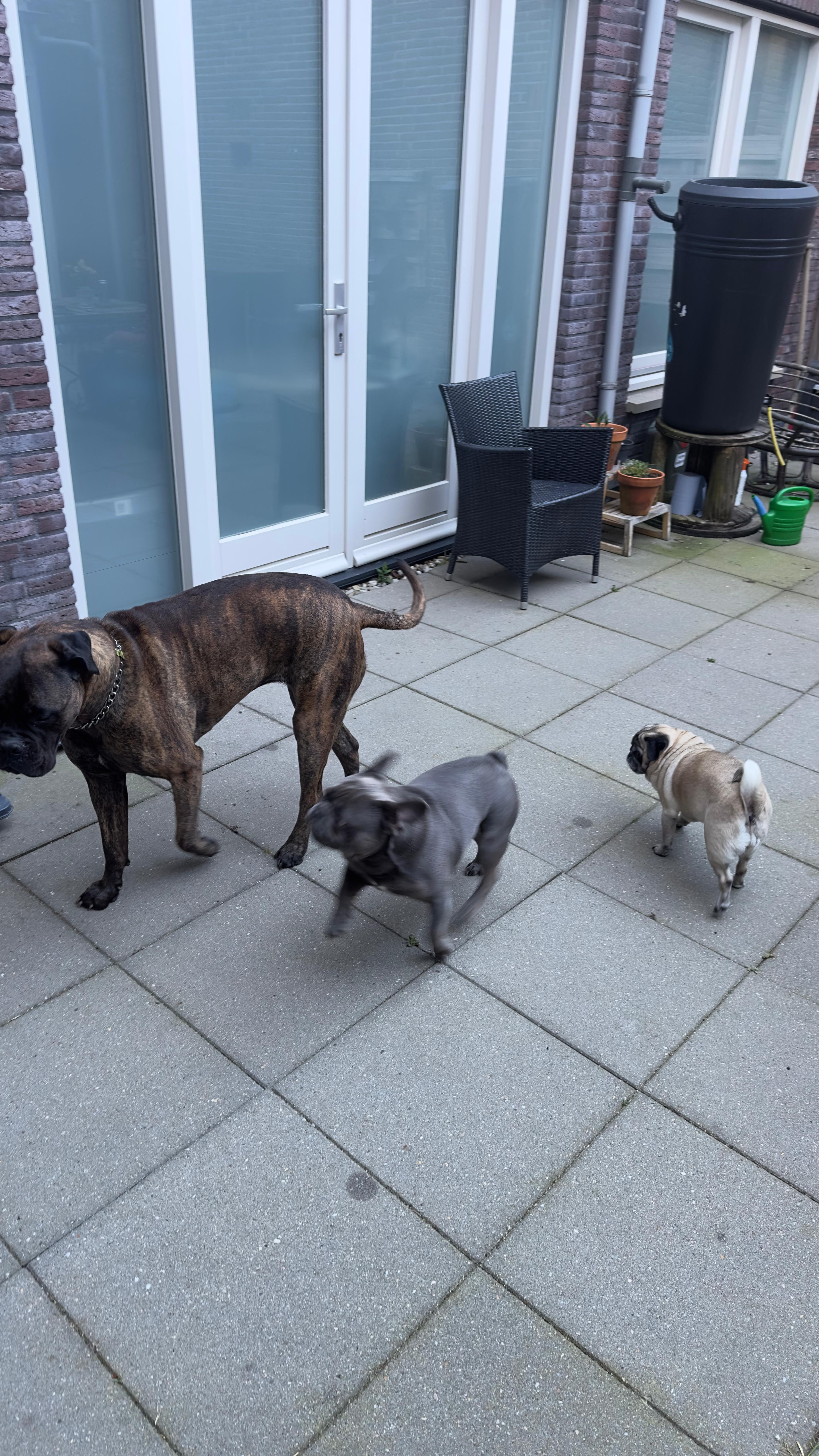 image-4