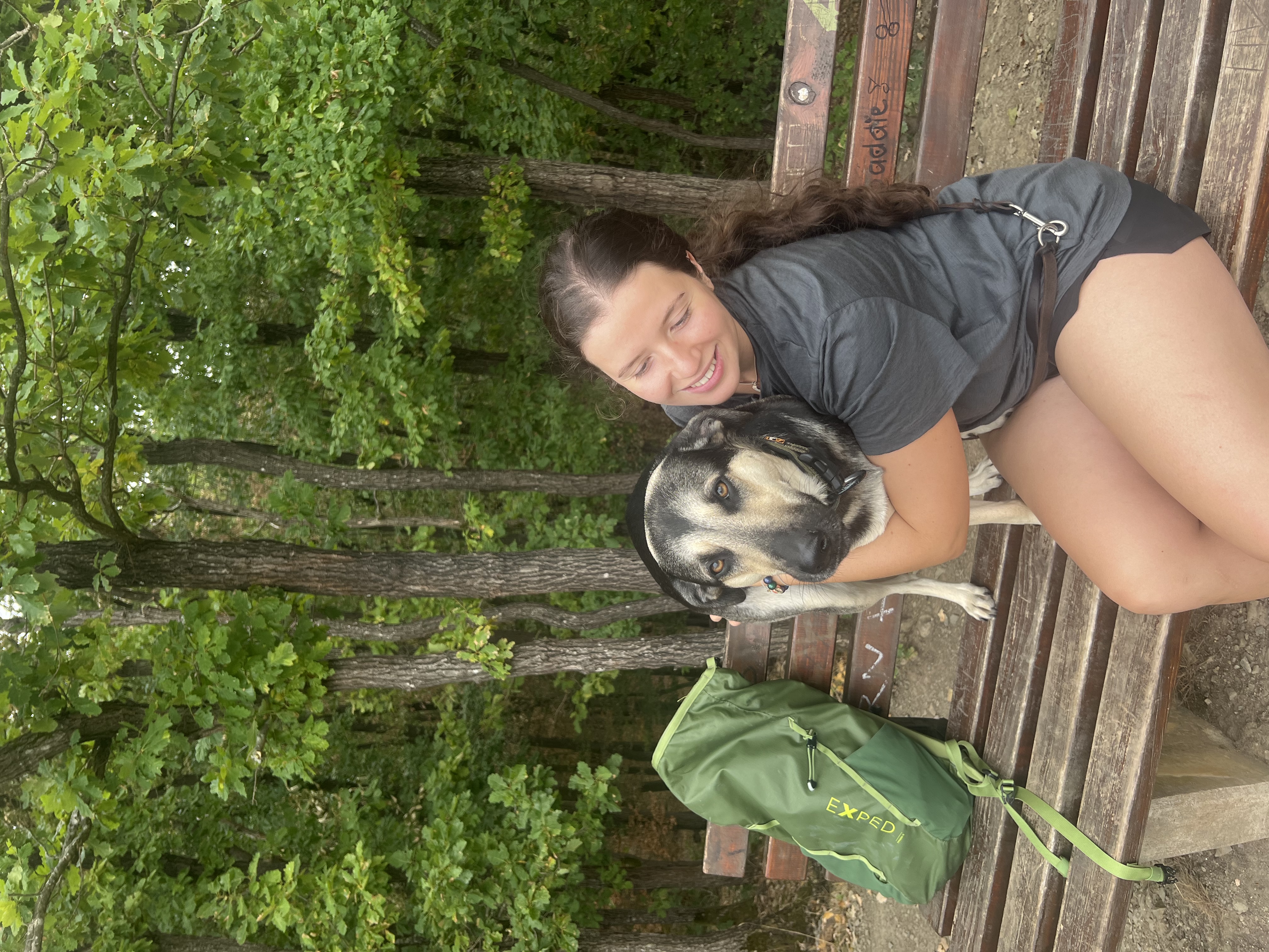 image-6