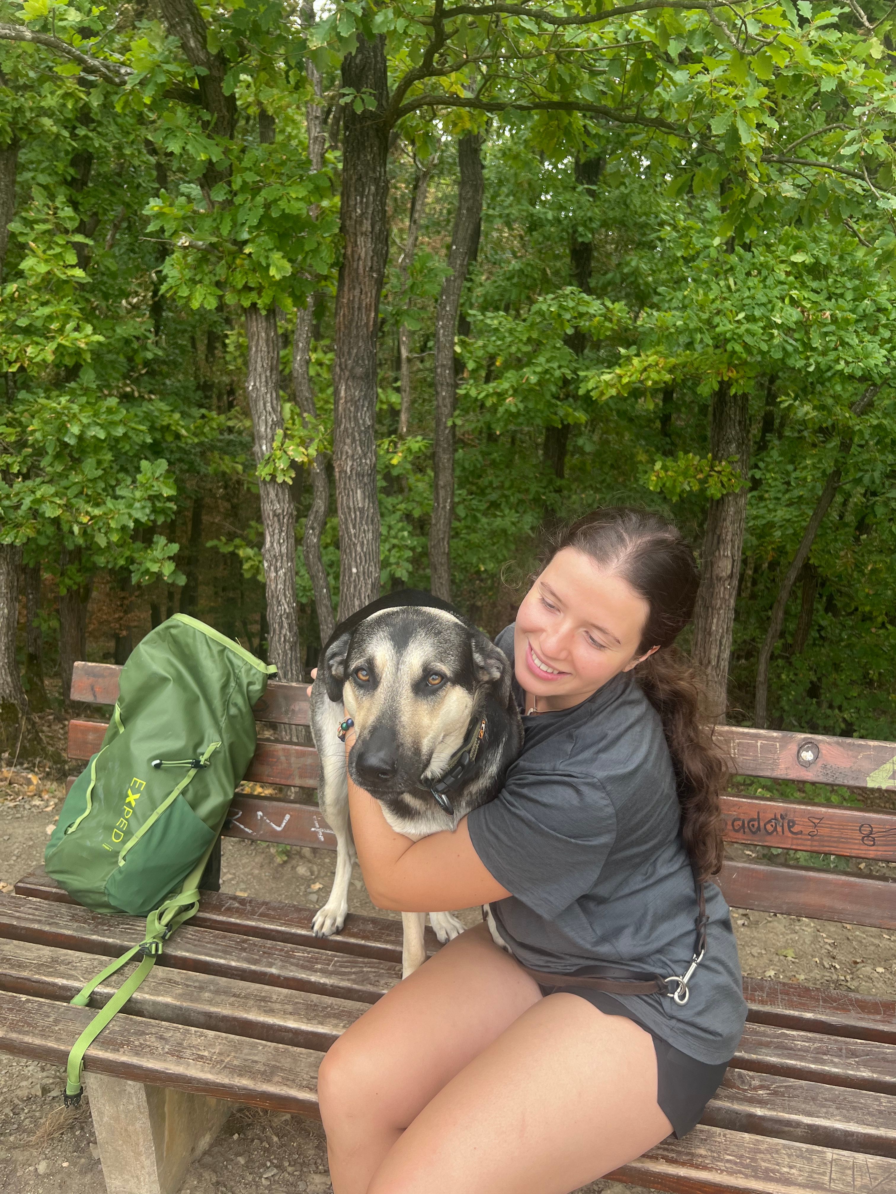 image-6