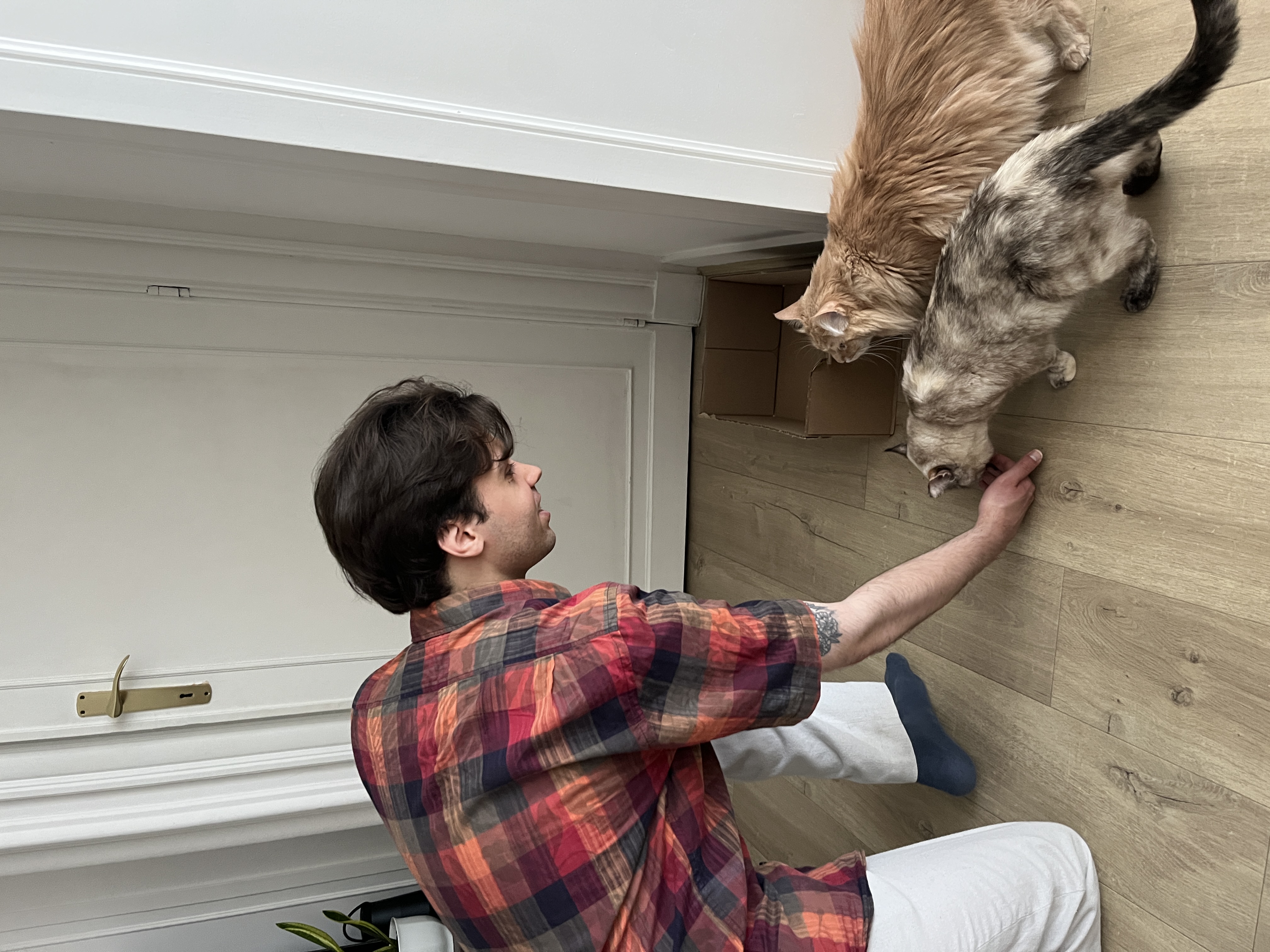 image-5