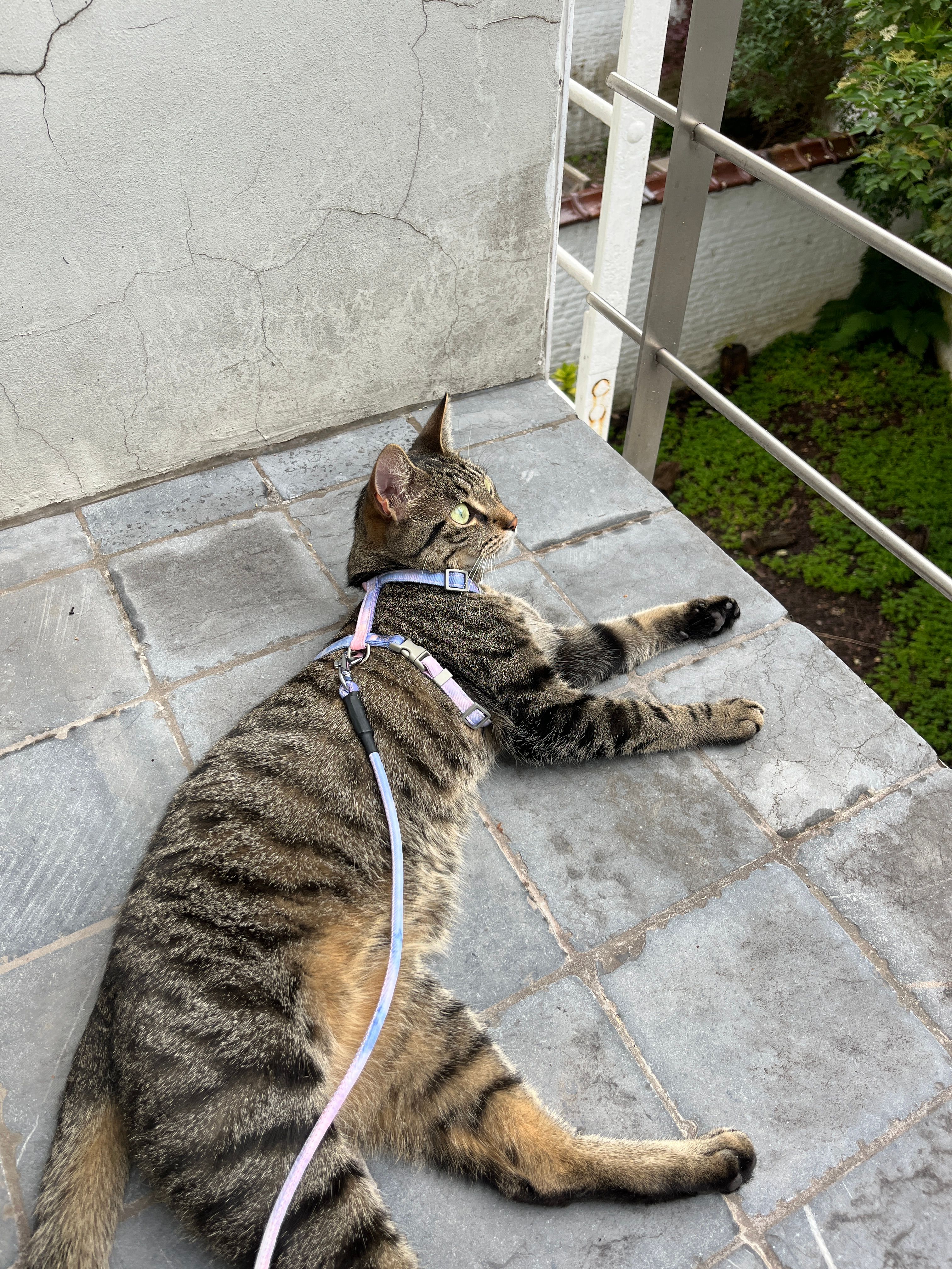 image-7
