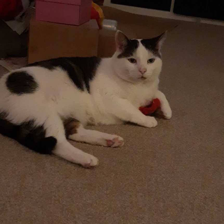 Max