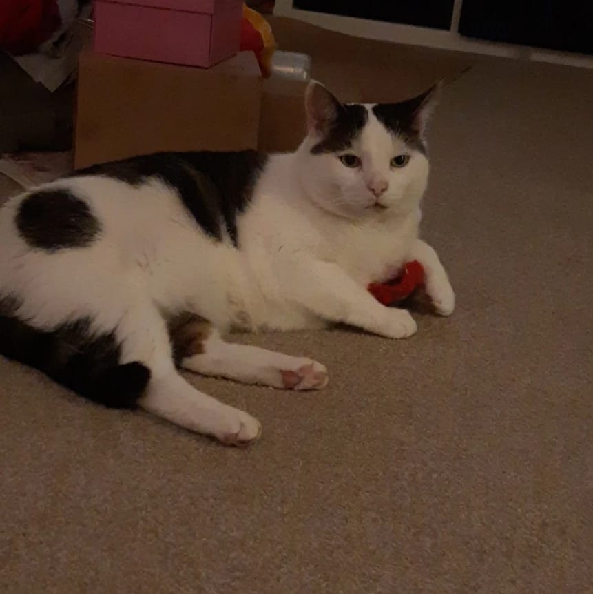 Max