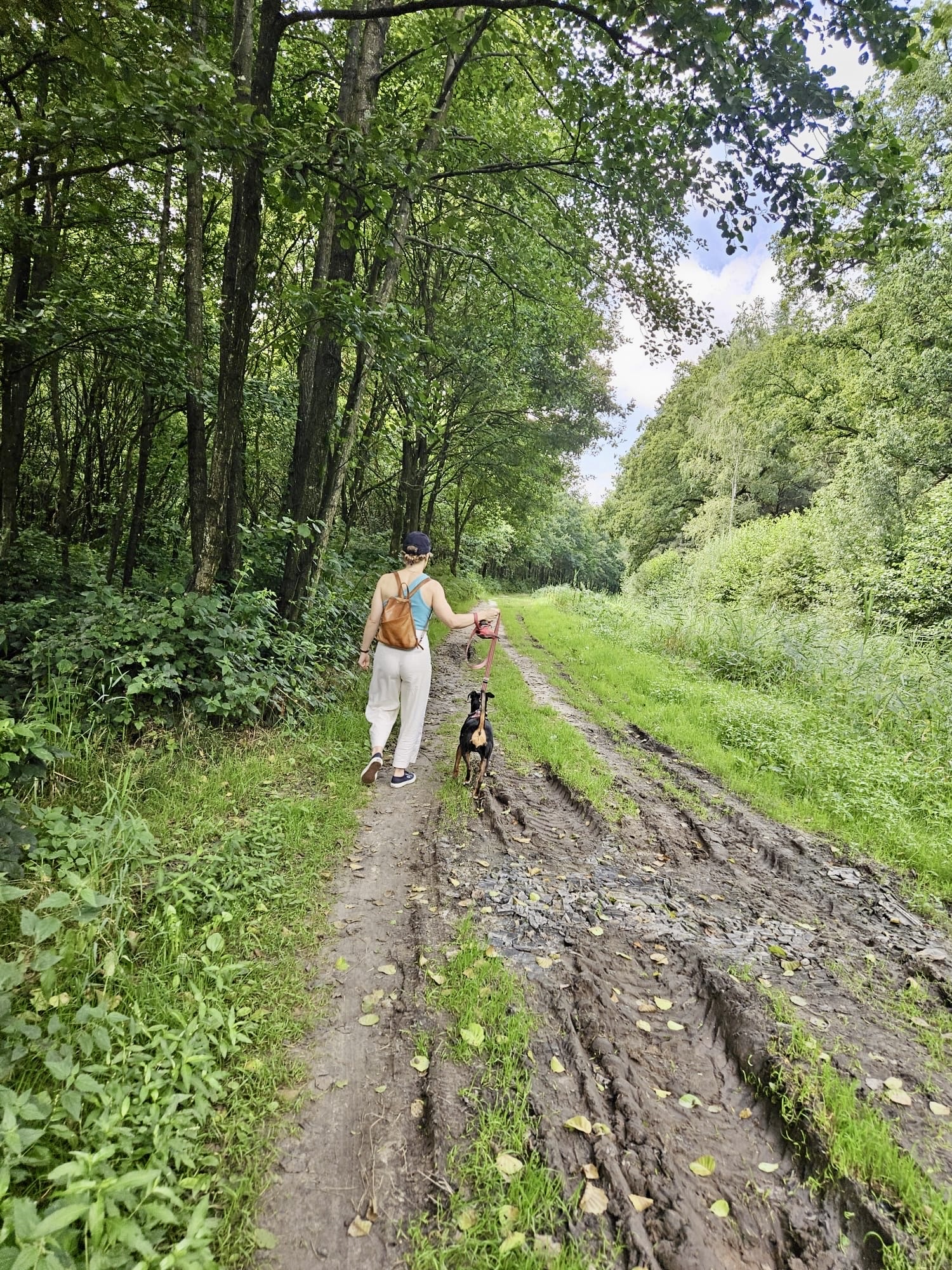 image-10