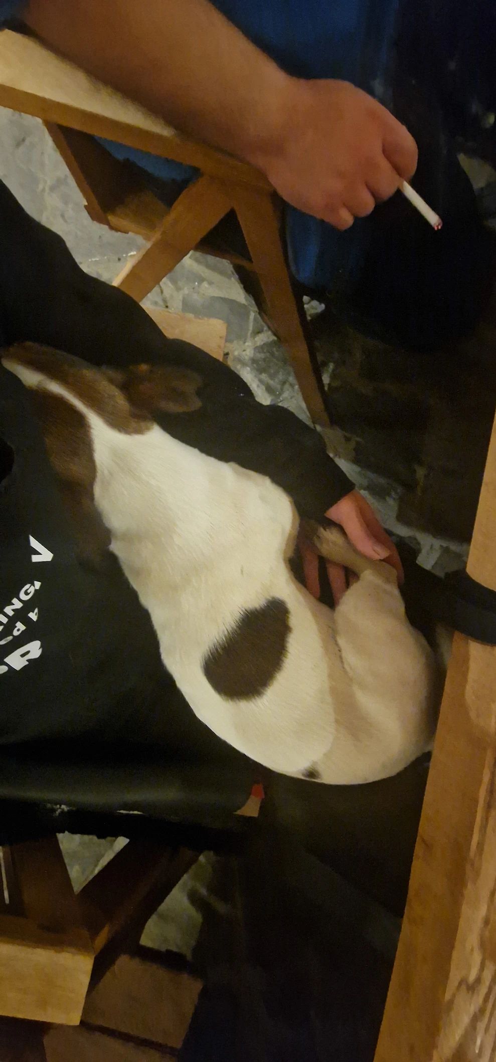 image-6