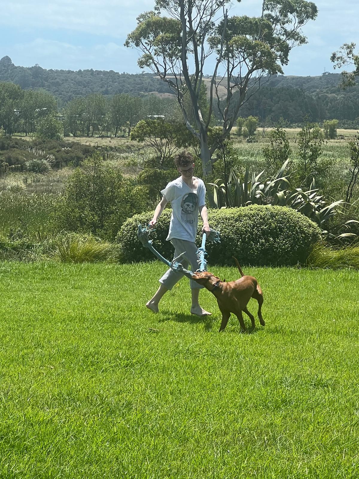 image-10