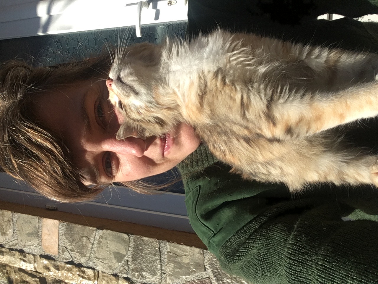 image-8