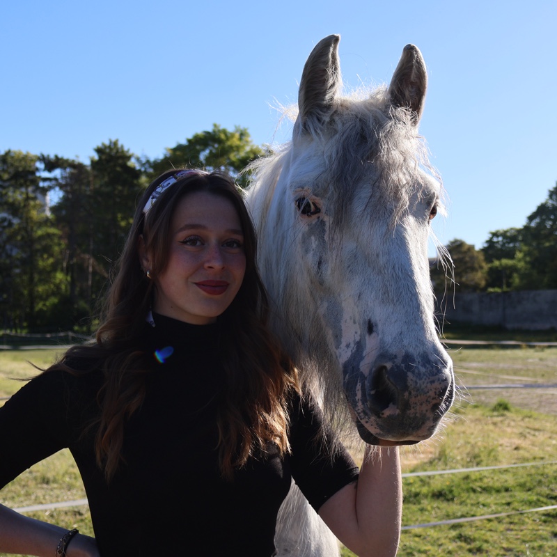 Romane