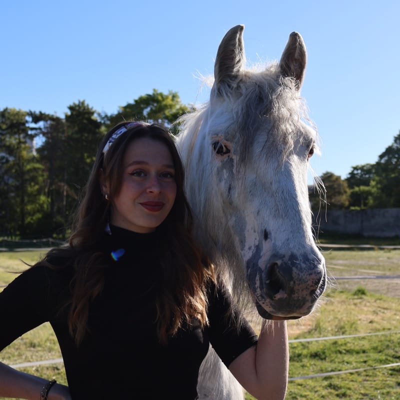 Romane