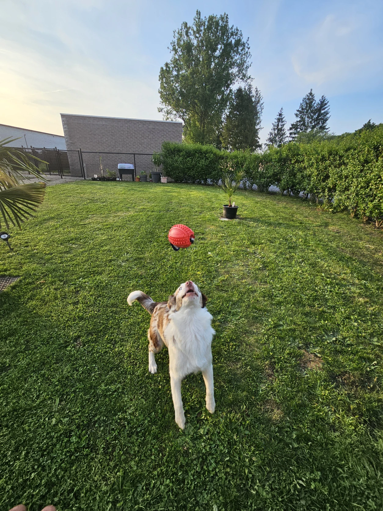 image-16