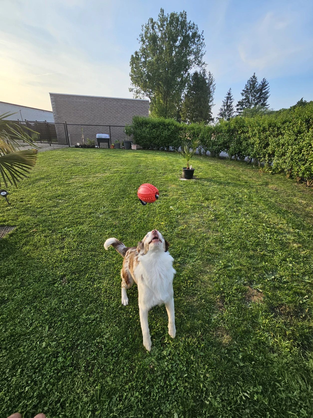 image-16