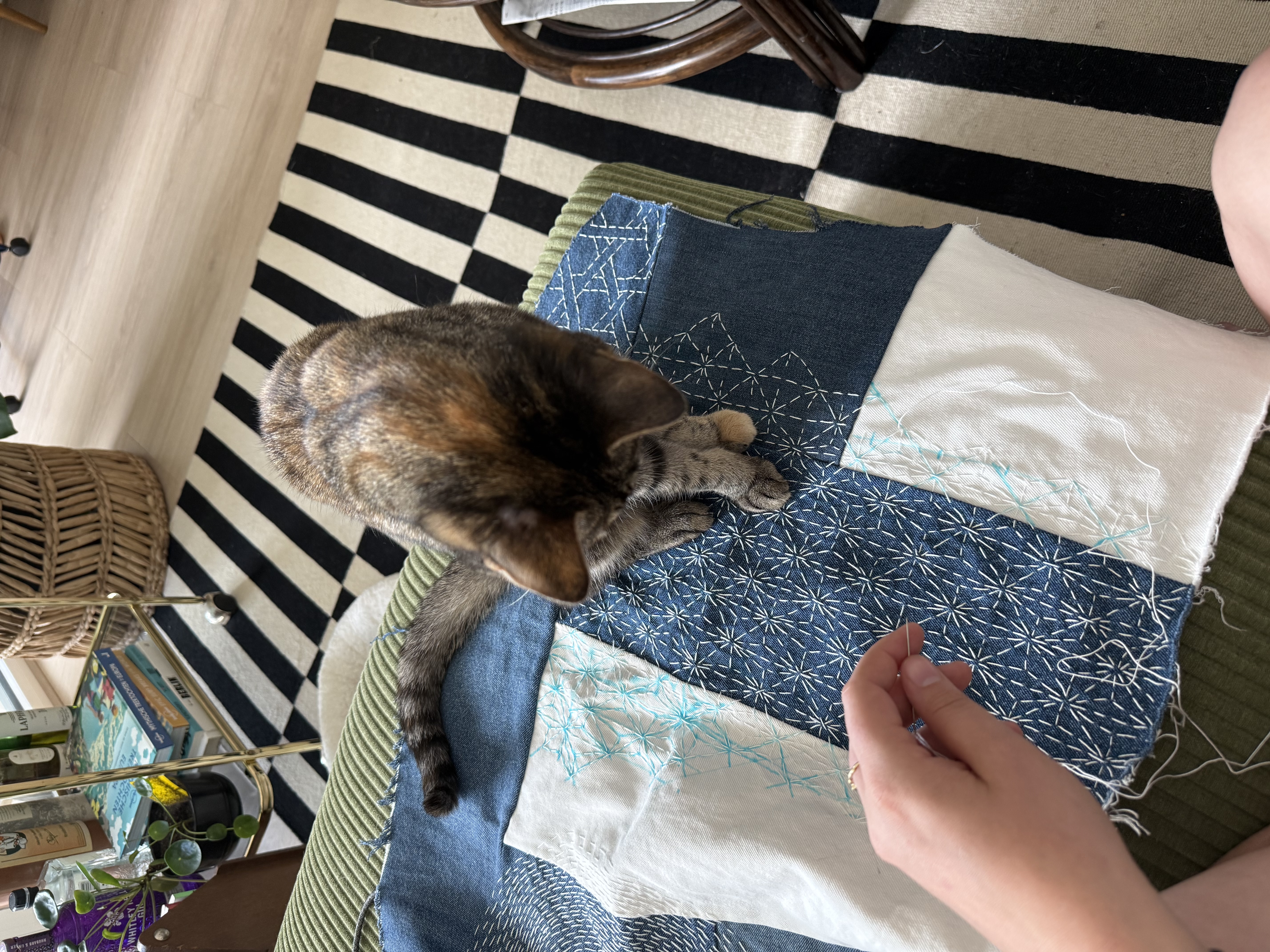 image-8