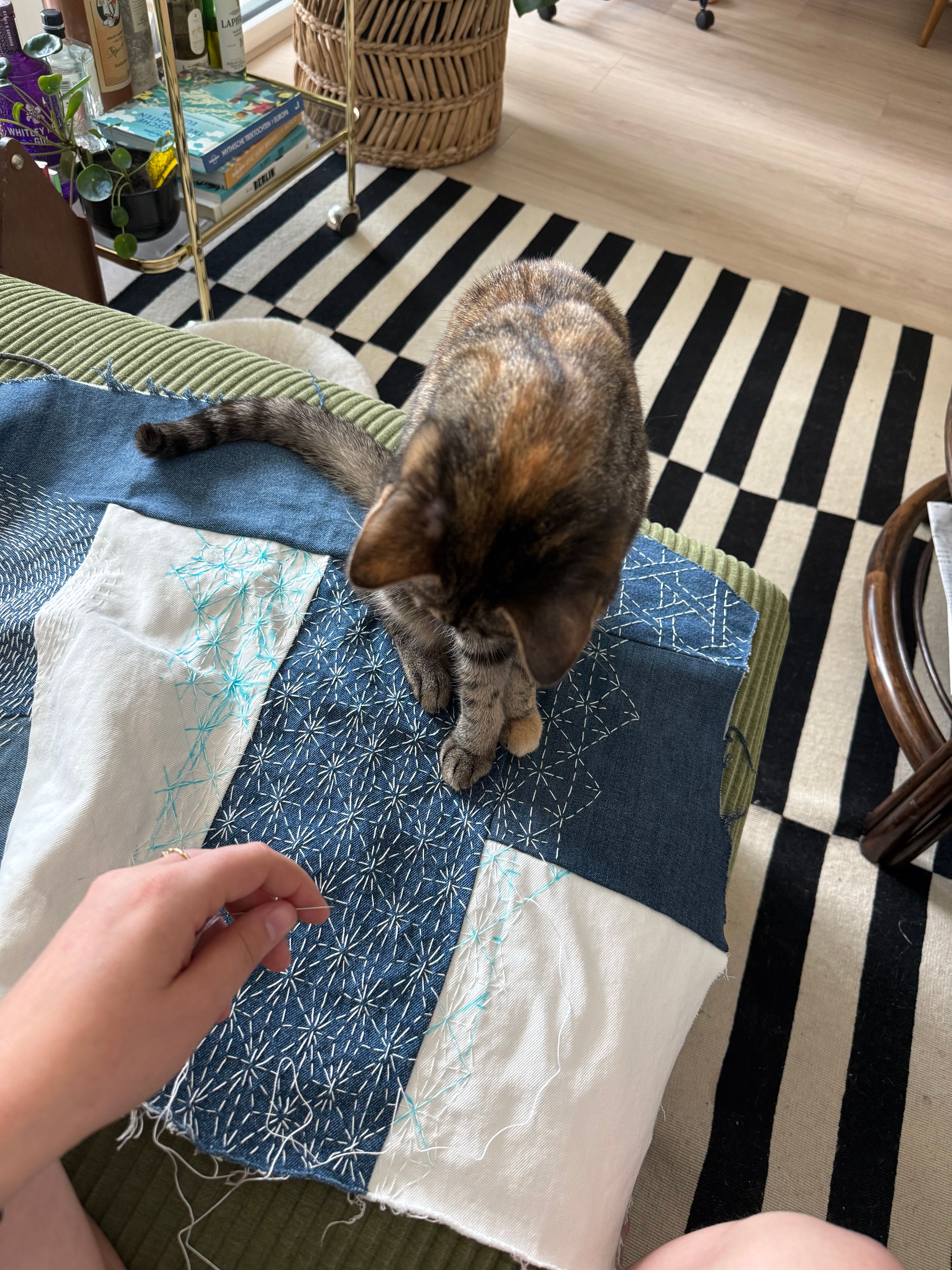 image-8