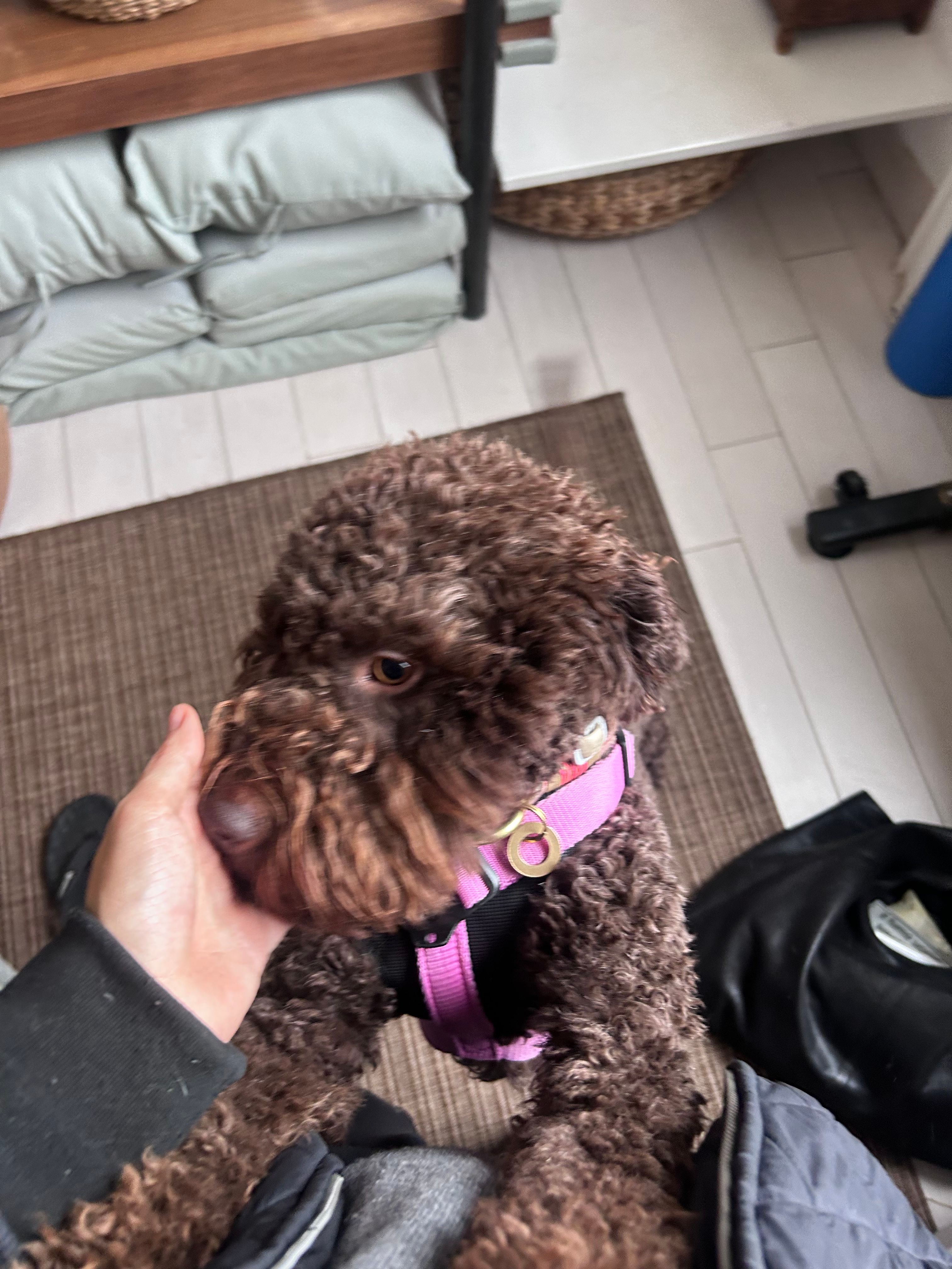 image-8