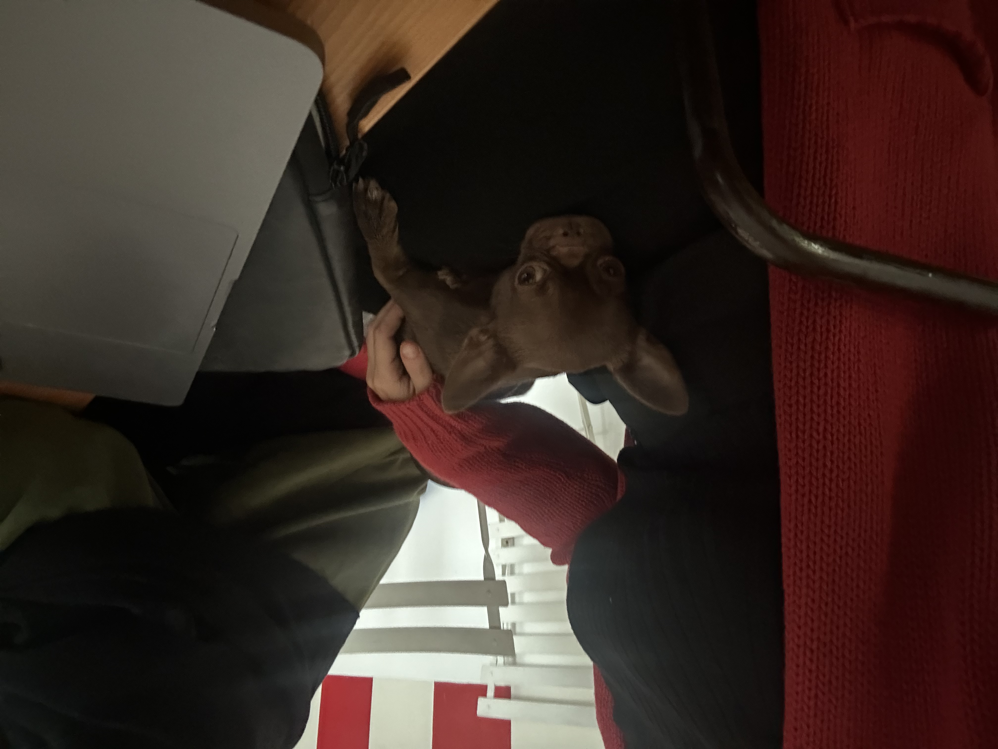 image-12