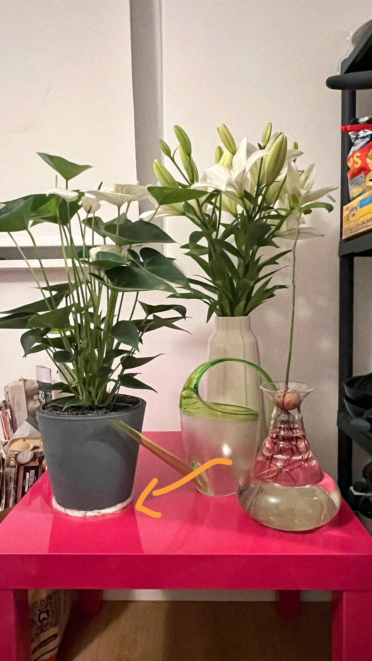 image-14