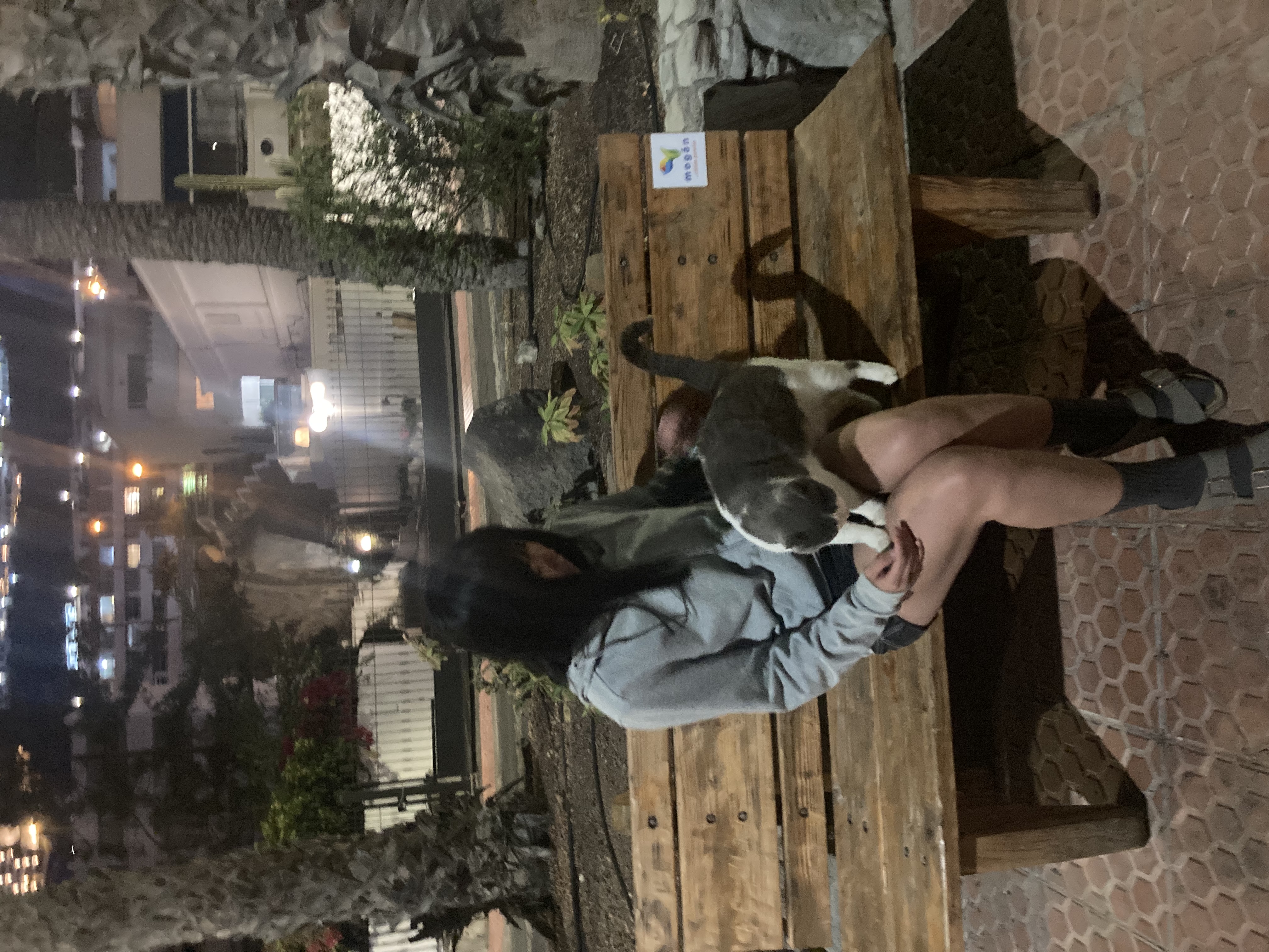 image-4