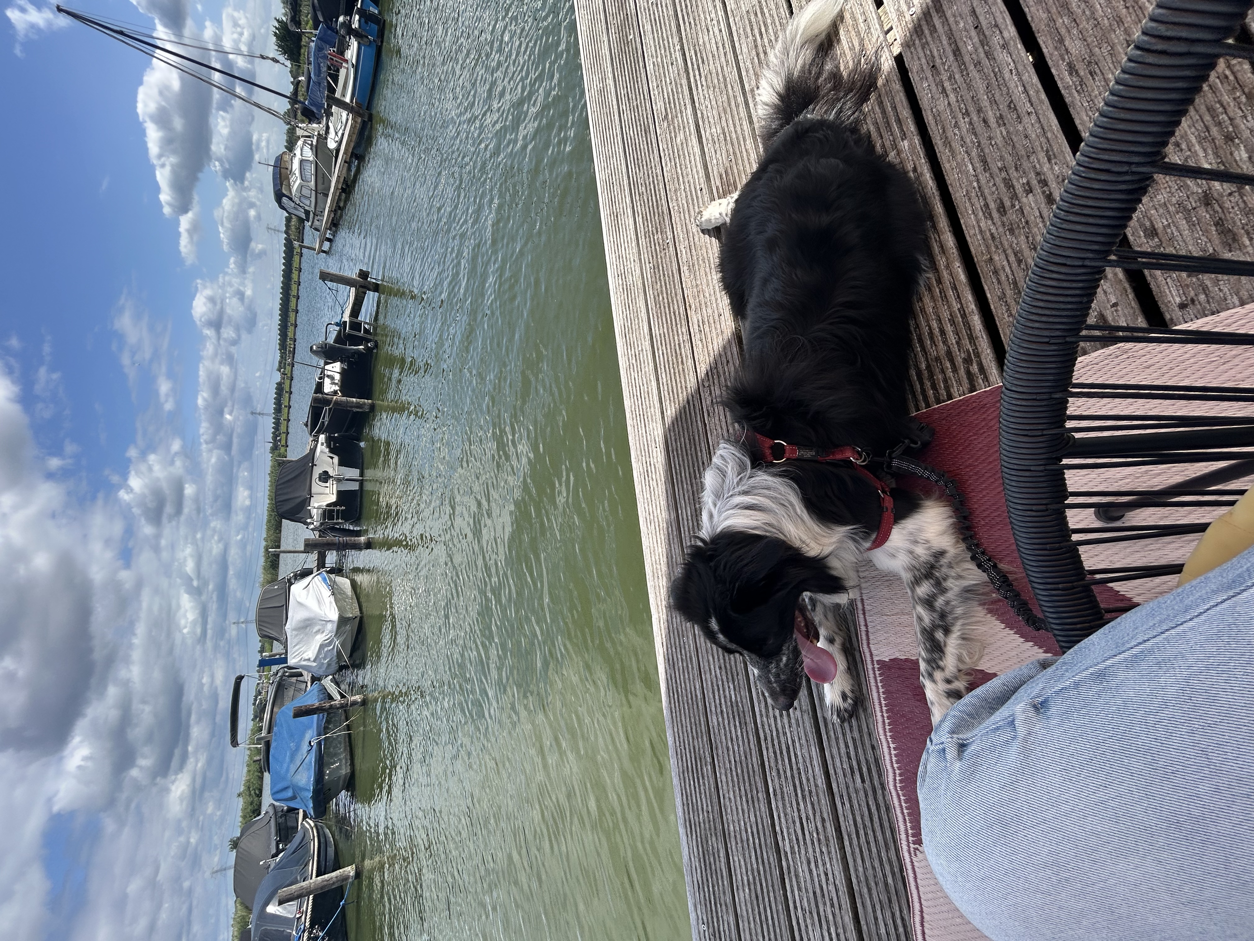 image-7