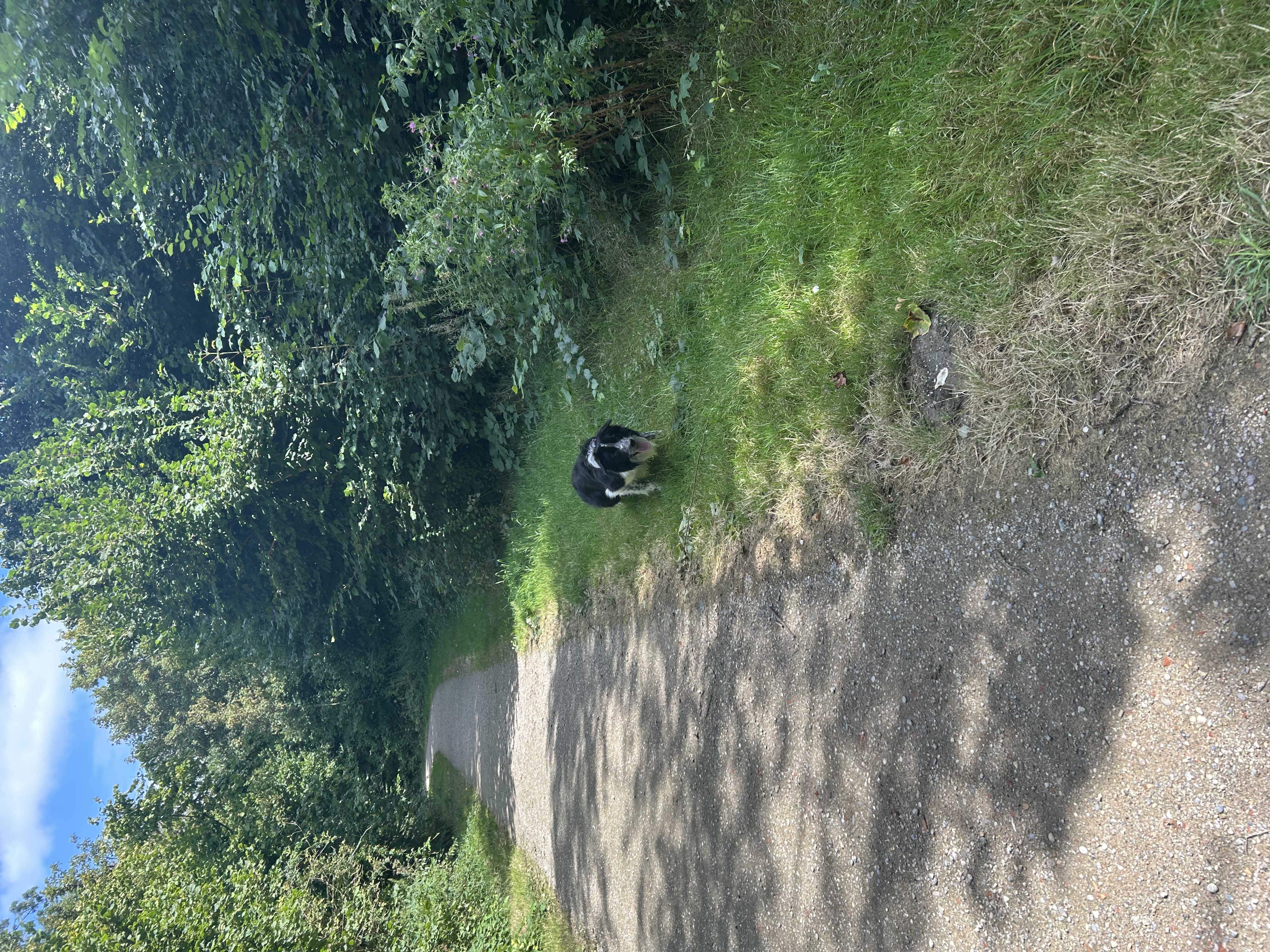 image-5