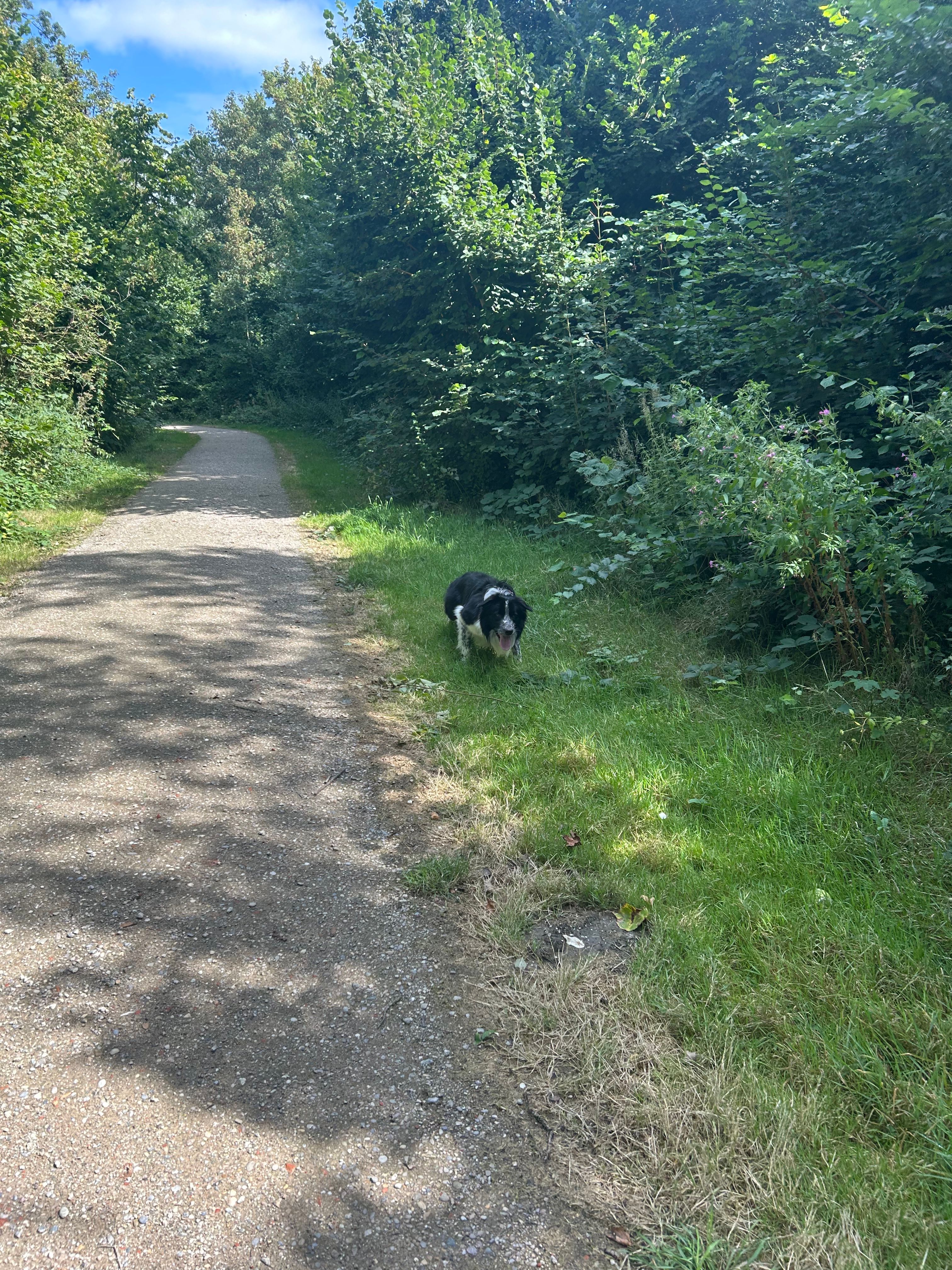 image-5