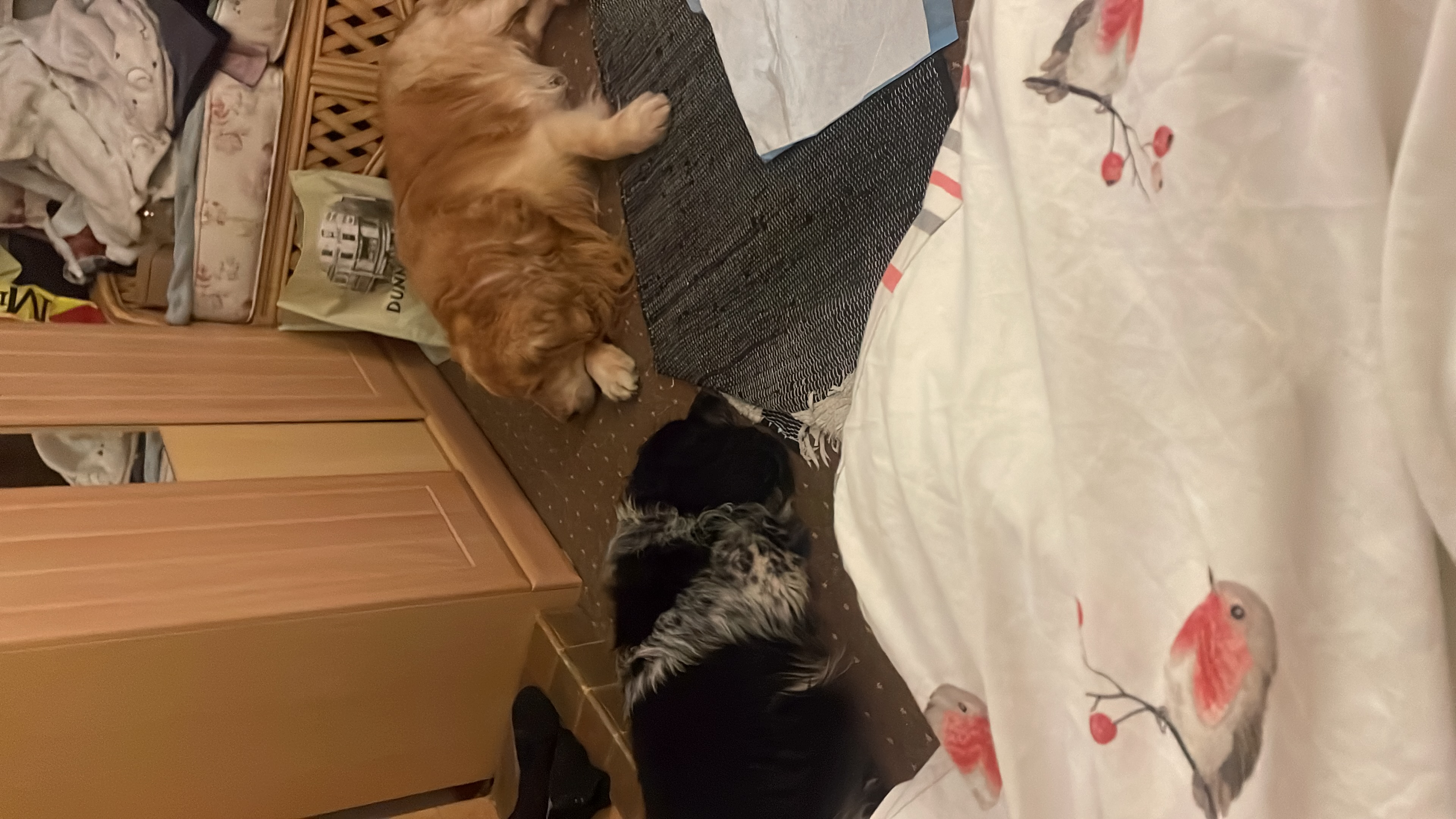 image-8