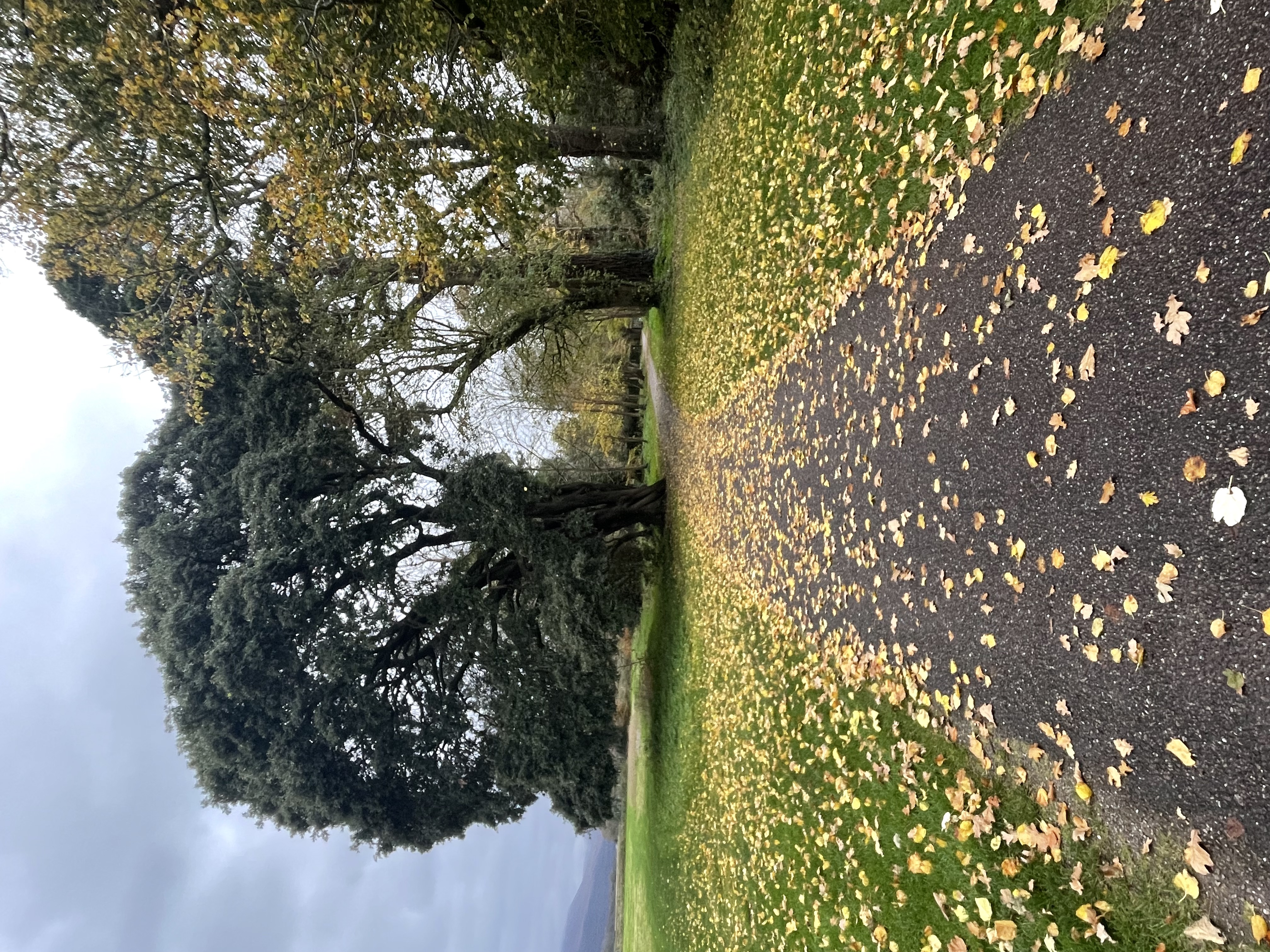 image-20