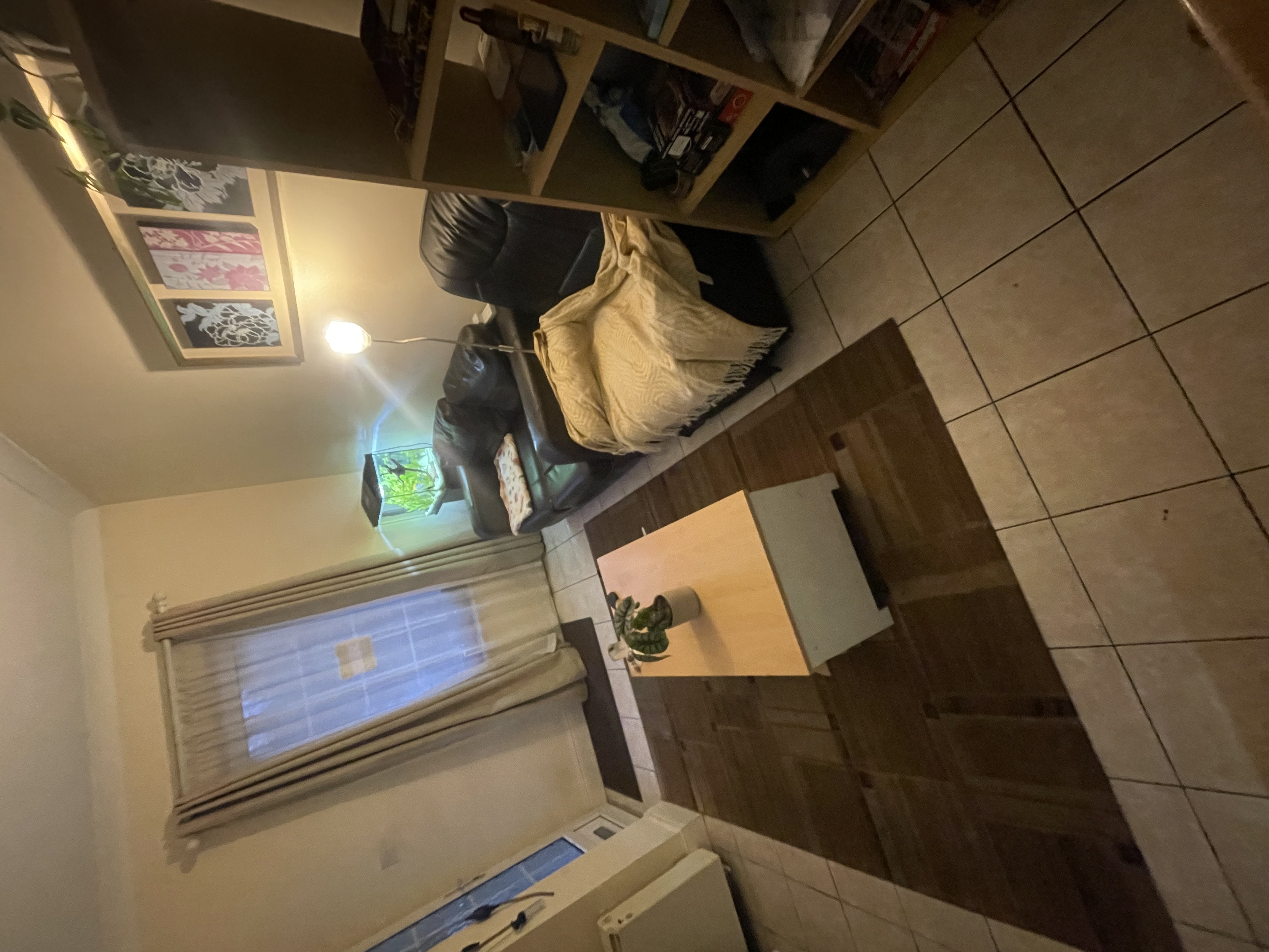 image-19