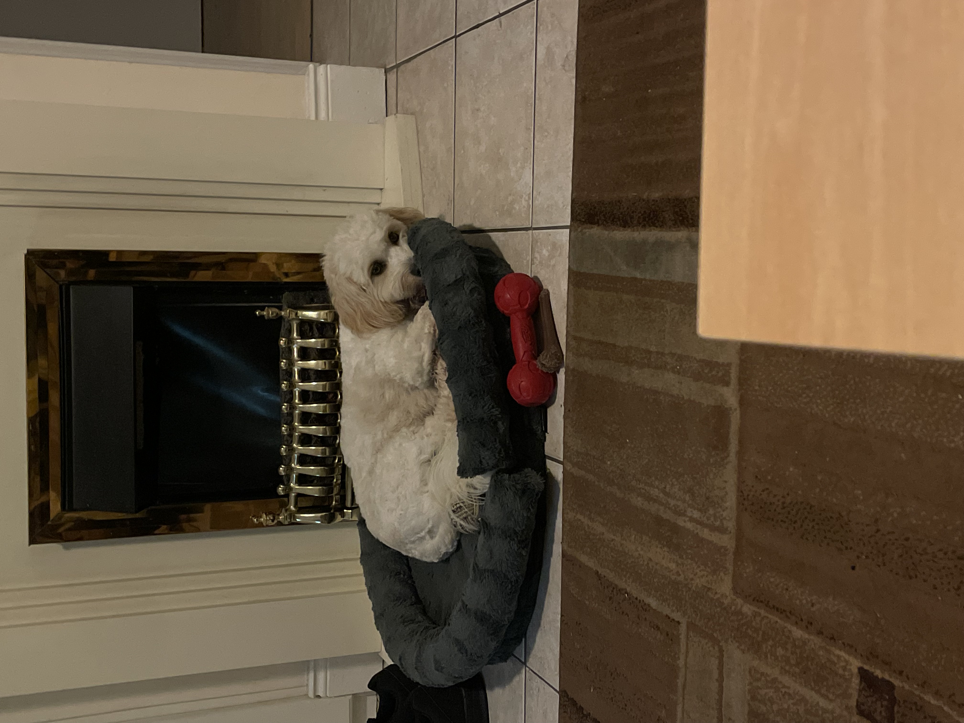 image-10