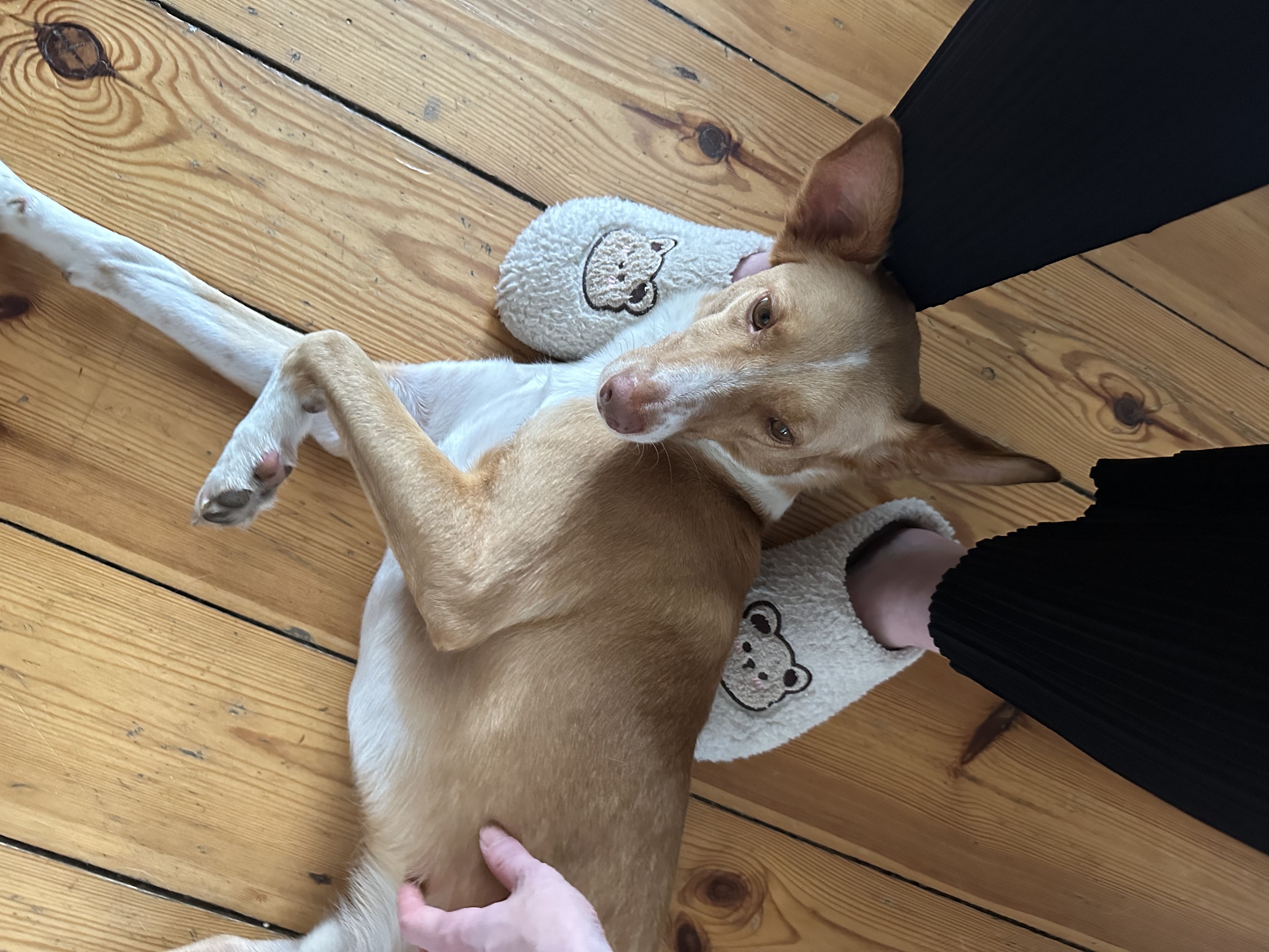 image-7