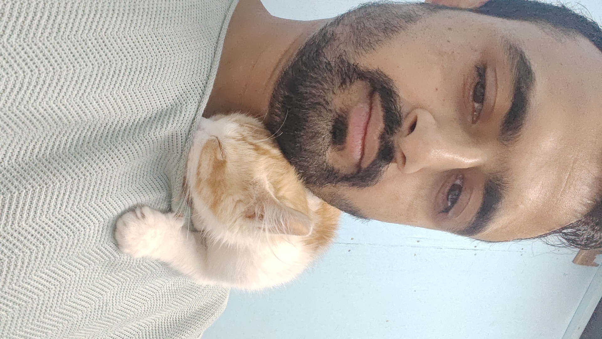 image-6