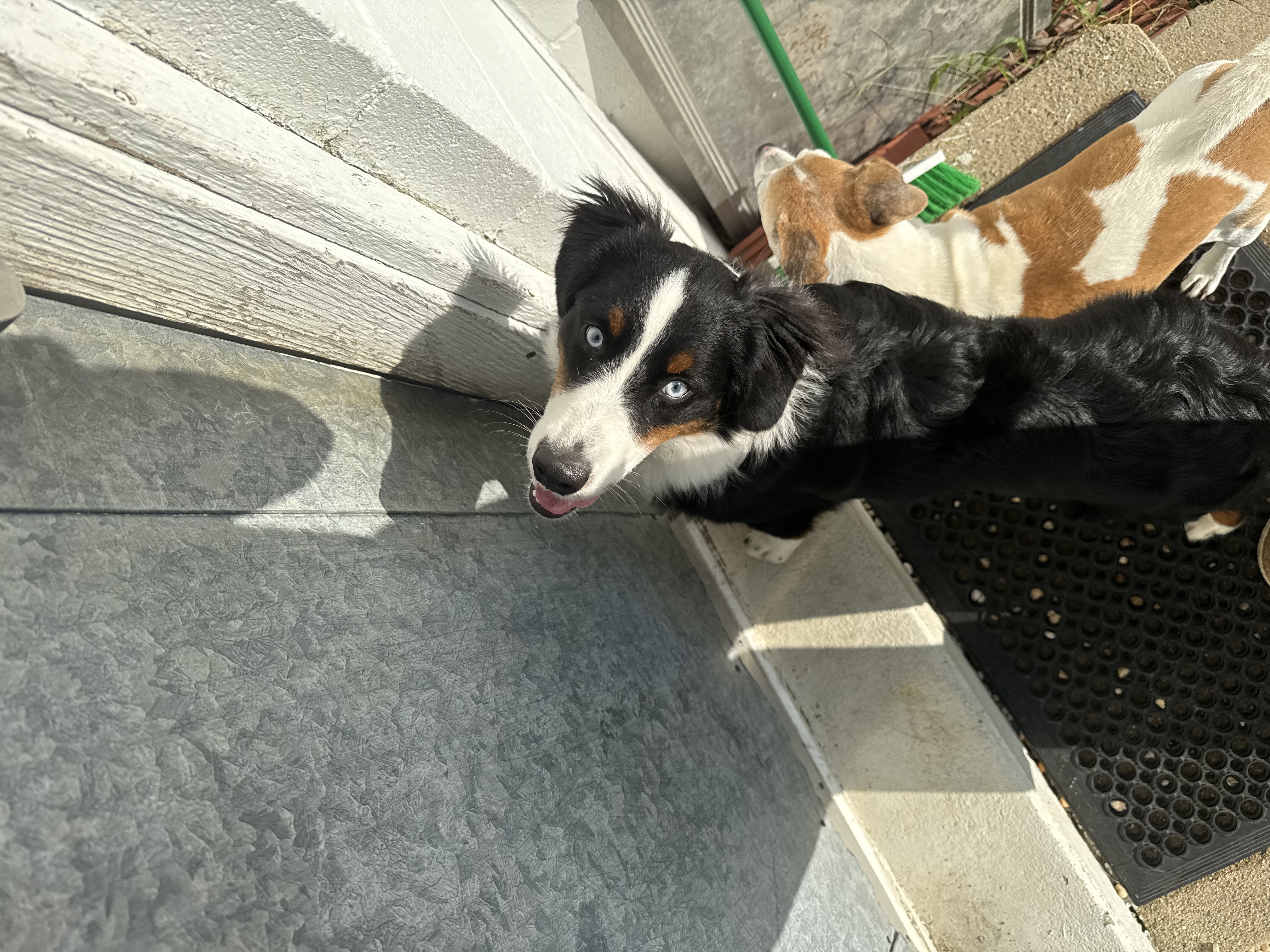 image-7