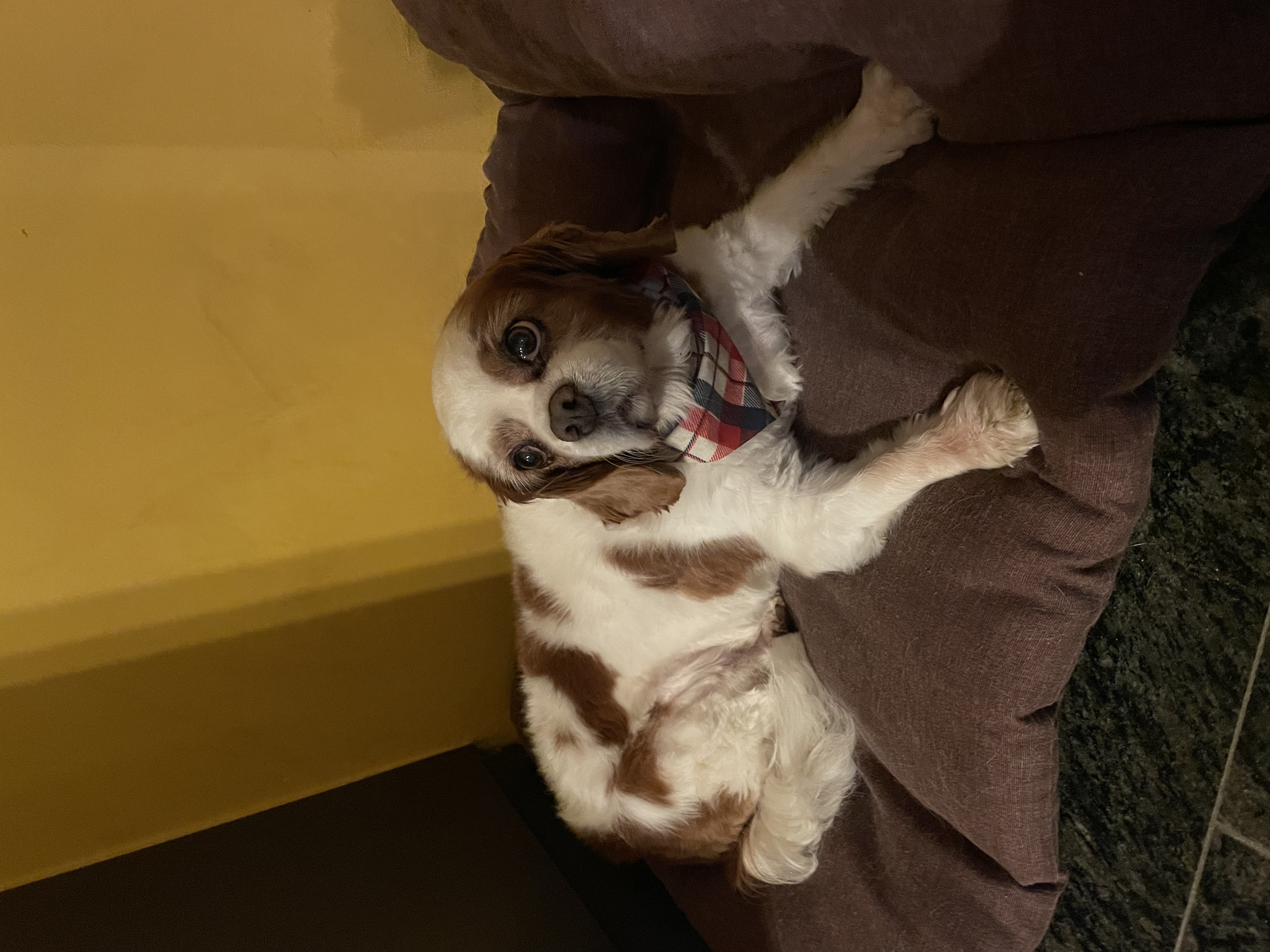 image-4