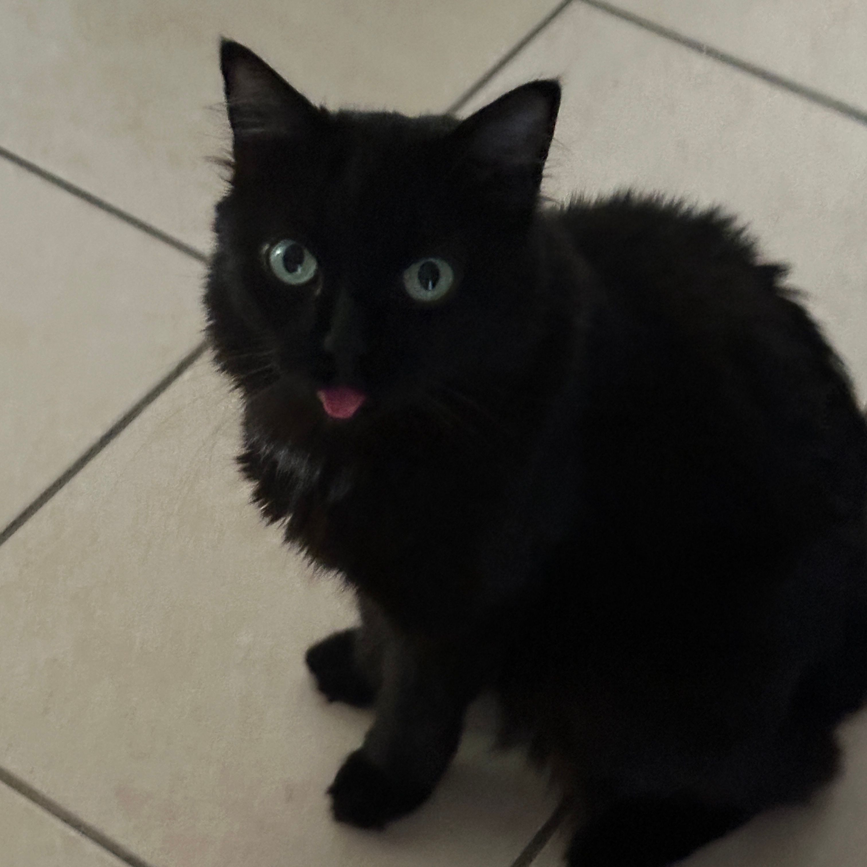 Edgar