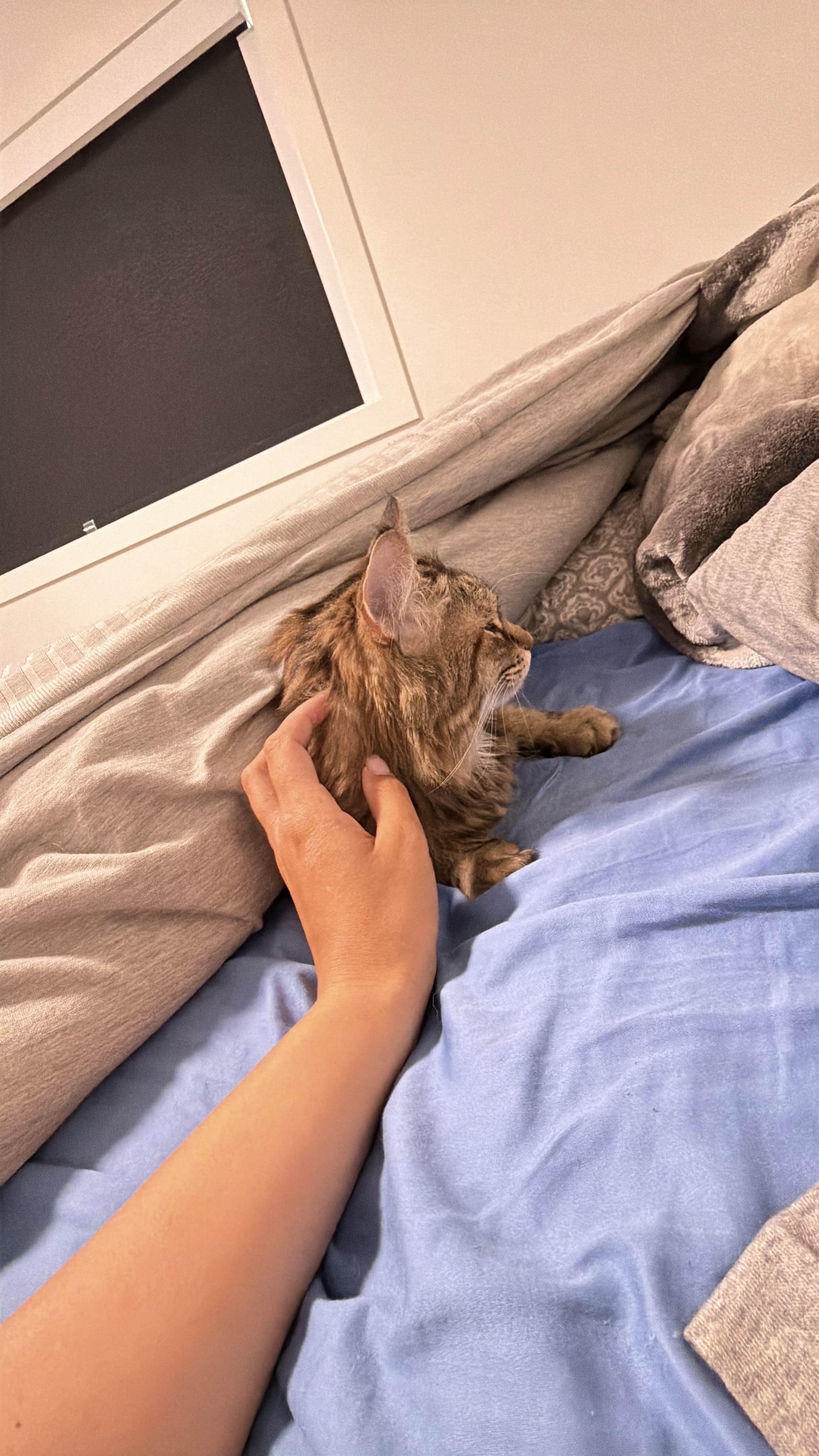 image-8