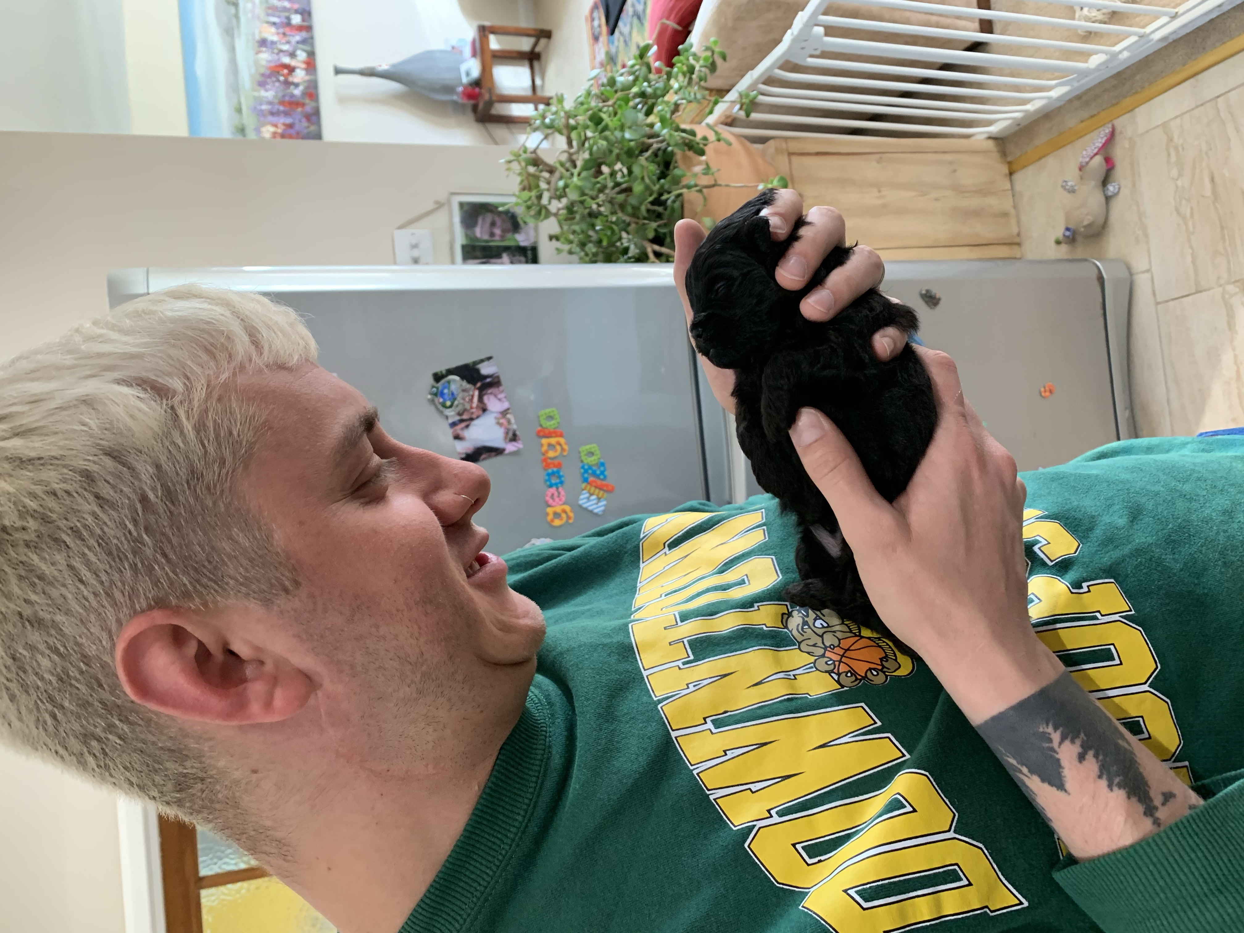 image-6