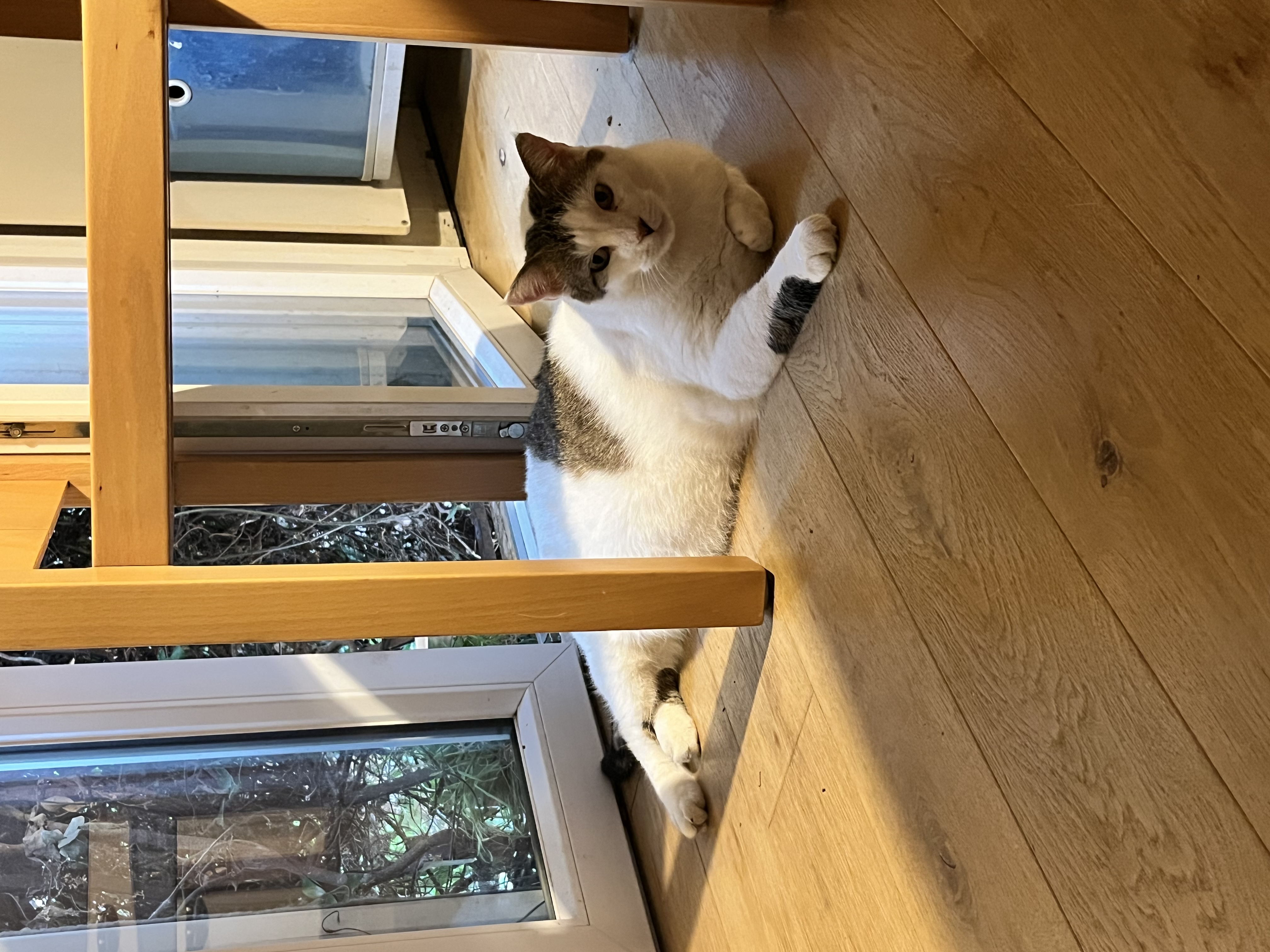 image-12